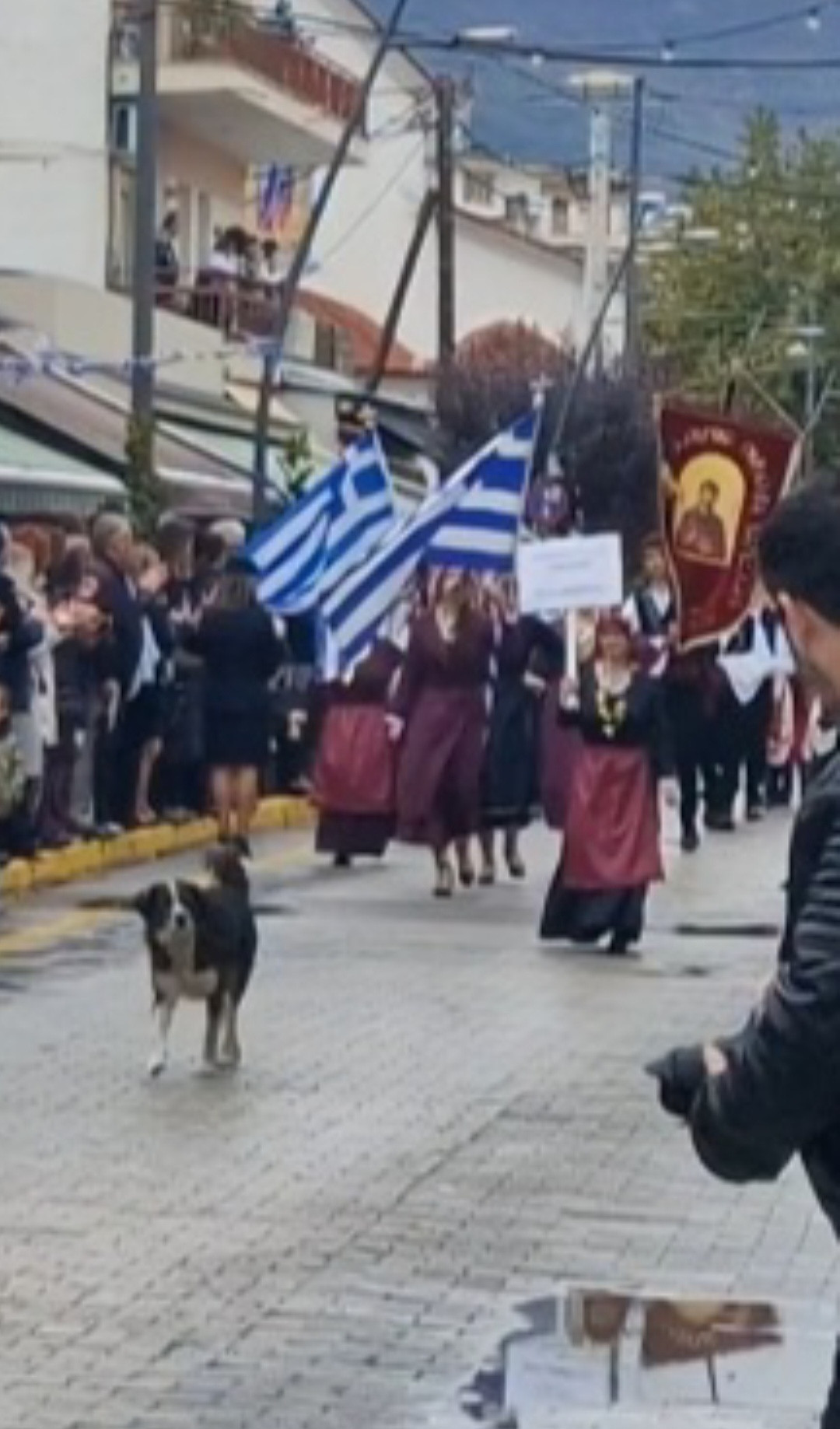 Αριδαία: Τα απρόοπτα της παρέλασης