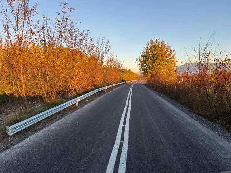 Ο Δήμος Πέλλας συνεχίζει με έργα - Ασφαλτόστρωση τμημάτων αγροτικών οδών στην Δ.Ε Μεγ. Αλεξάνδρου