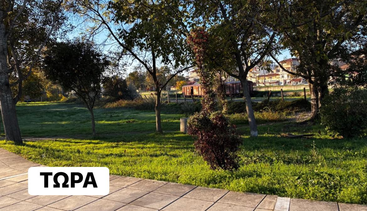 Η Μαρία Παπαδοπούλου για το Τεχνικό Πρόγραμμα του Δήμου Σκύδρας – «Μια μικρή ιδέα από το πώς βλέπουμε ΕΜΕΙΣ την ανάπτυξη»