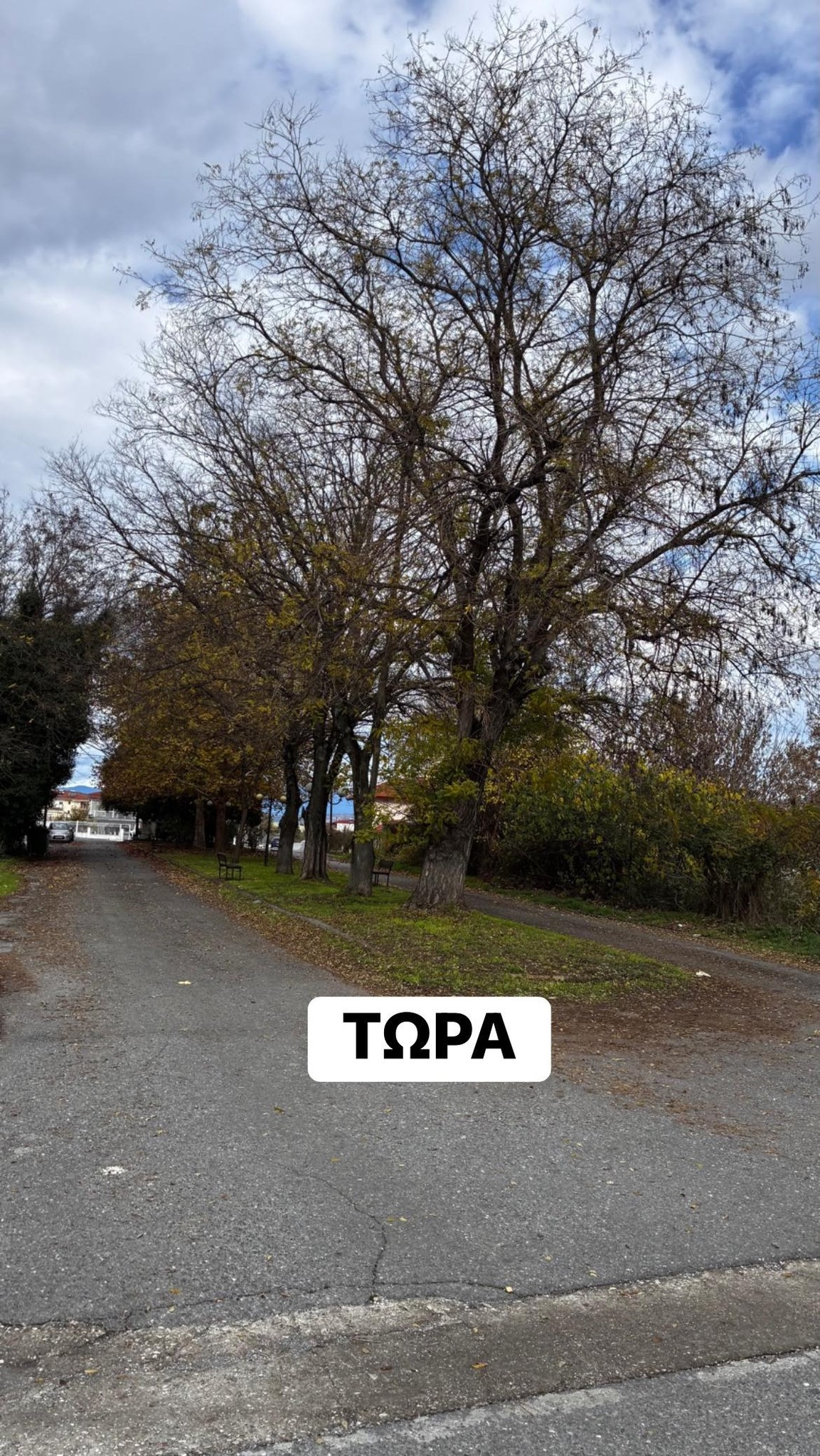 Μαρία Παπαδοπούλου: Να αναγερθεί νέος ιερός Ναός του Αγίου Αθανασίου στη Σκύδρα