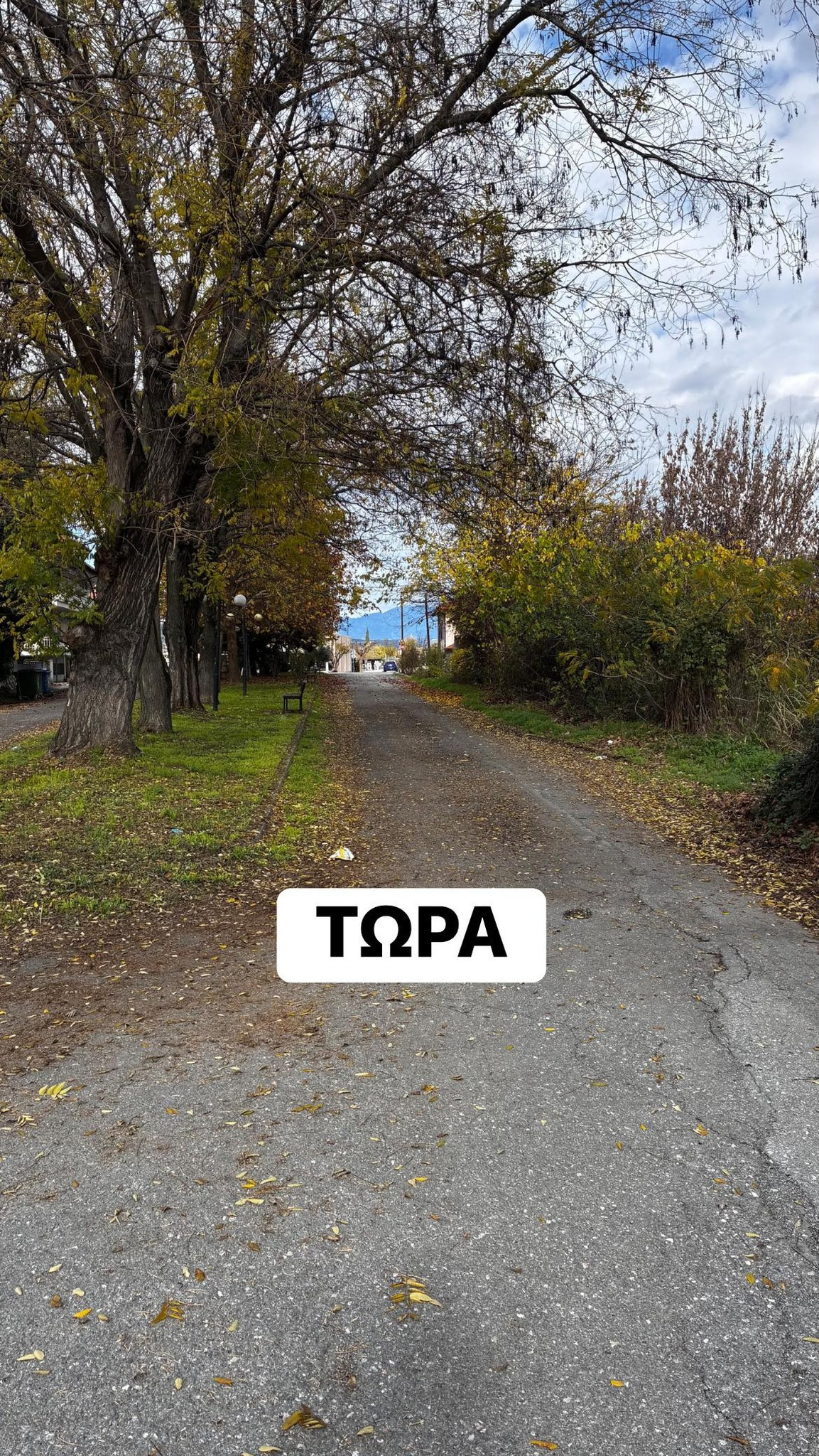 Μαρία Παπαδοπούλου: Να αναγερθεί νέος ιερός Ναός του Αγίου Αθανασίου στη Σκύδρα