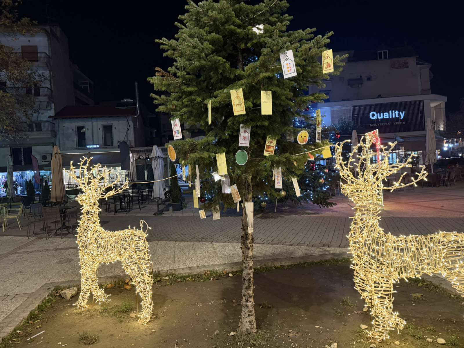 1o ΕΠΑΛ Αριδαίας «Νίκανδρος Παπαϊωάννου»  «Το Δέντρο των Ευχών»