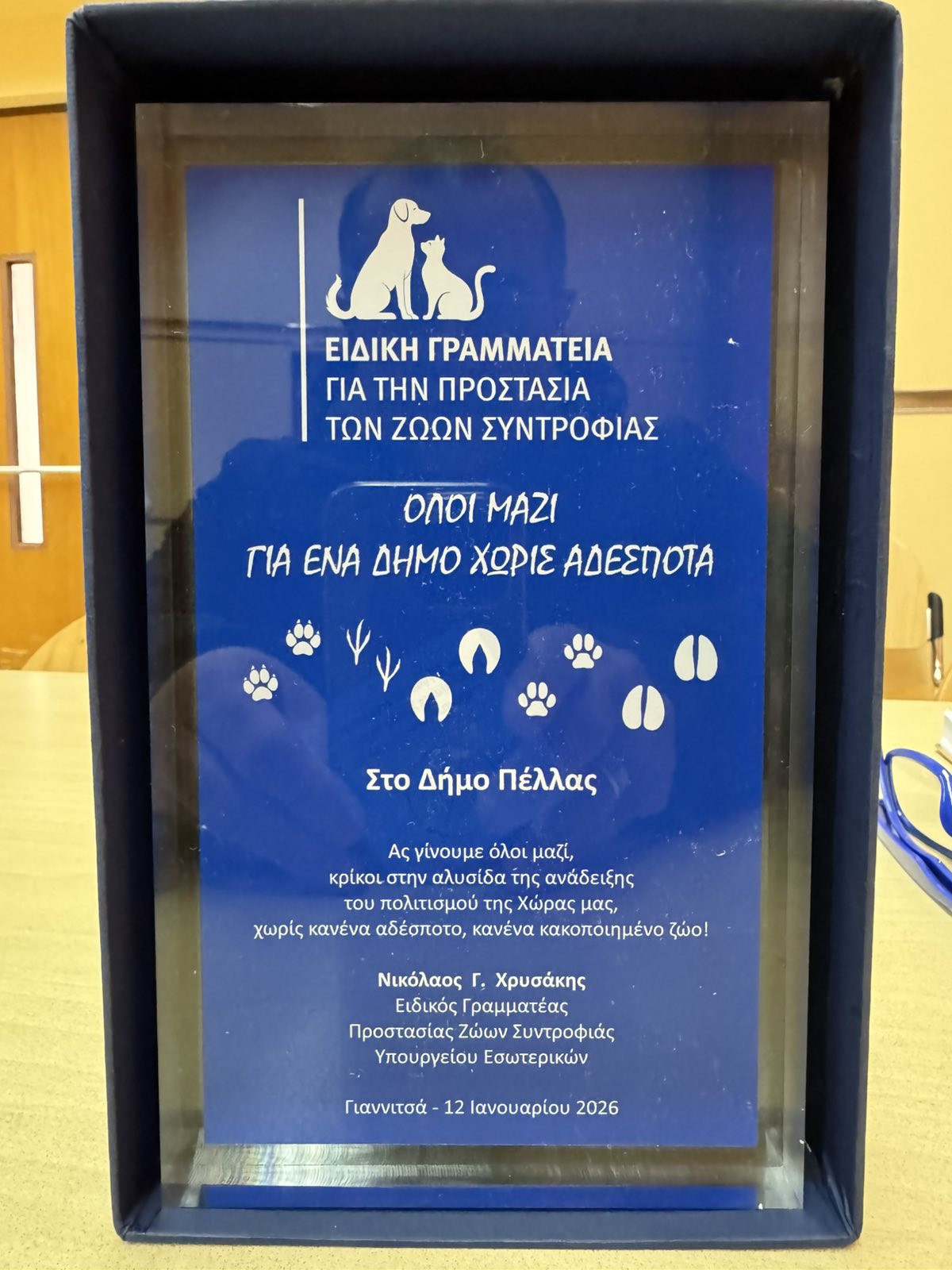 Δήμος Πέλλας: Συνέπεια και συστηματική προσπάθεια στη διαχείριση των αδέσποτων ζώων συντροφιάς