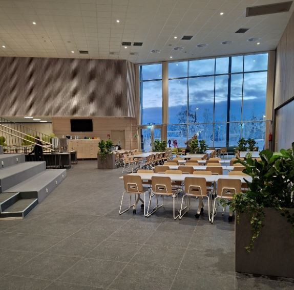 Στο επίκεντρο της φινλανδικής εκπαιδευτικής αριστείας το Δημοτικό Σχολείο Πενταπλατάνου