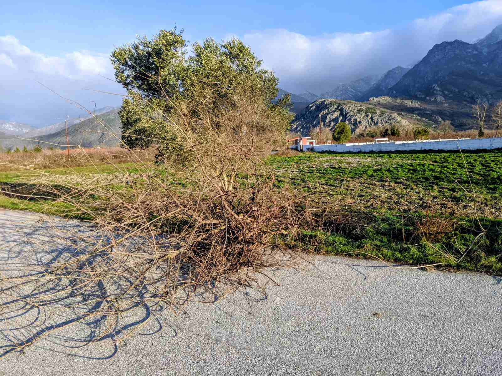 Μεγάλες ζημιές στην Αλμωπία: Θυελλώδεις άνεμοι