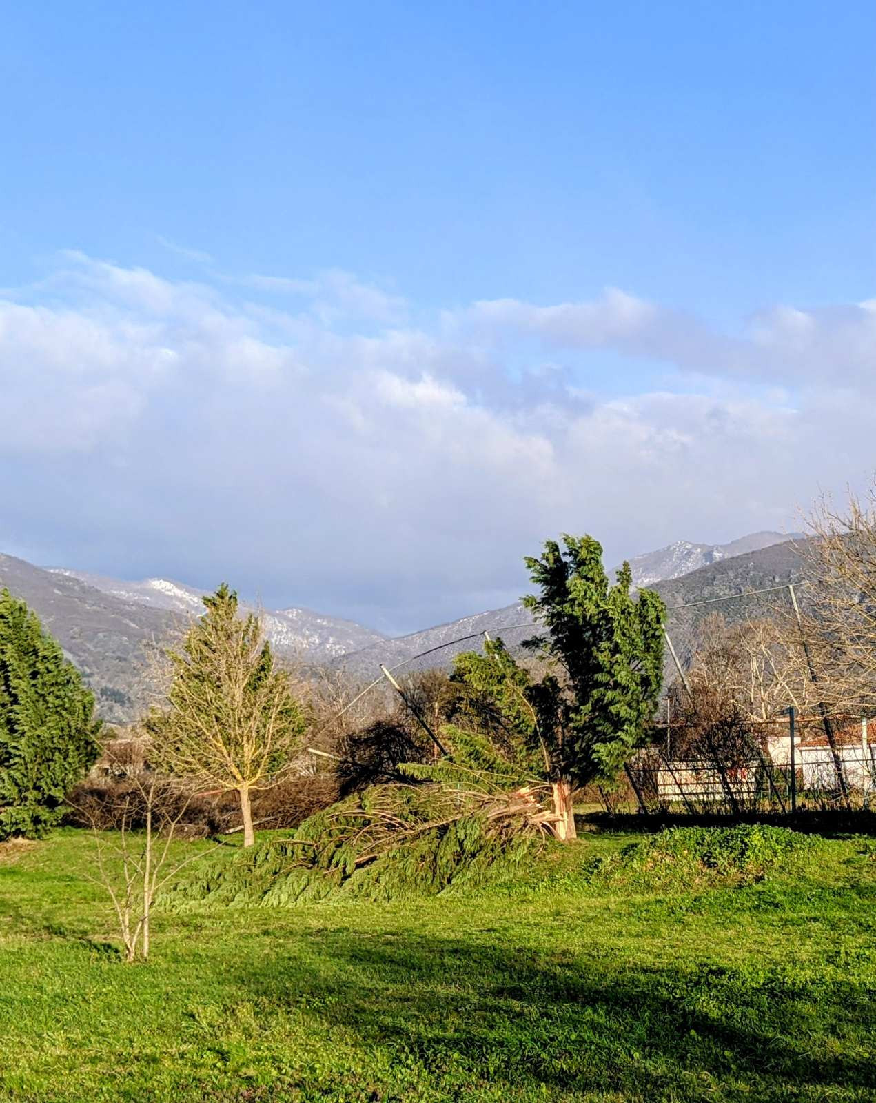 Μεγάλες ζημιές στην Αλμωπία: Θυελλώδεις άνεμοι