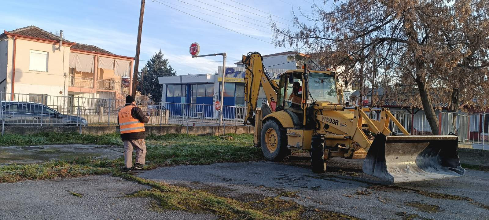 1ο Δημοτικό Σχολείο Κρύας Βρύσης- Περιβαλλοντική δράση δενδροφύτευσης