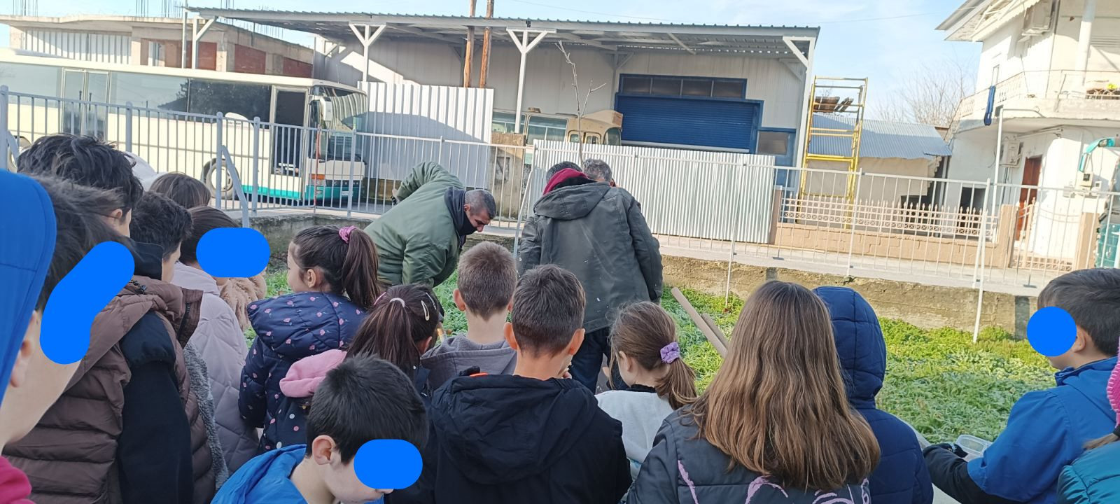 1ο Δημοτικό Σχολείο Κρύας Βρύσης- Περιβαλλοντική δράση δενδροφύτευσης