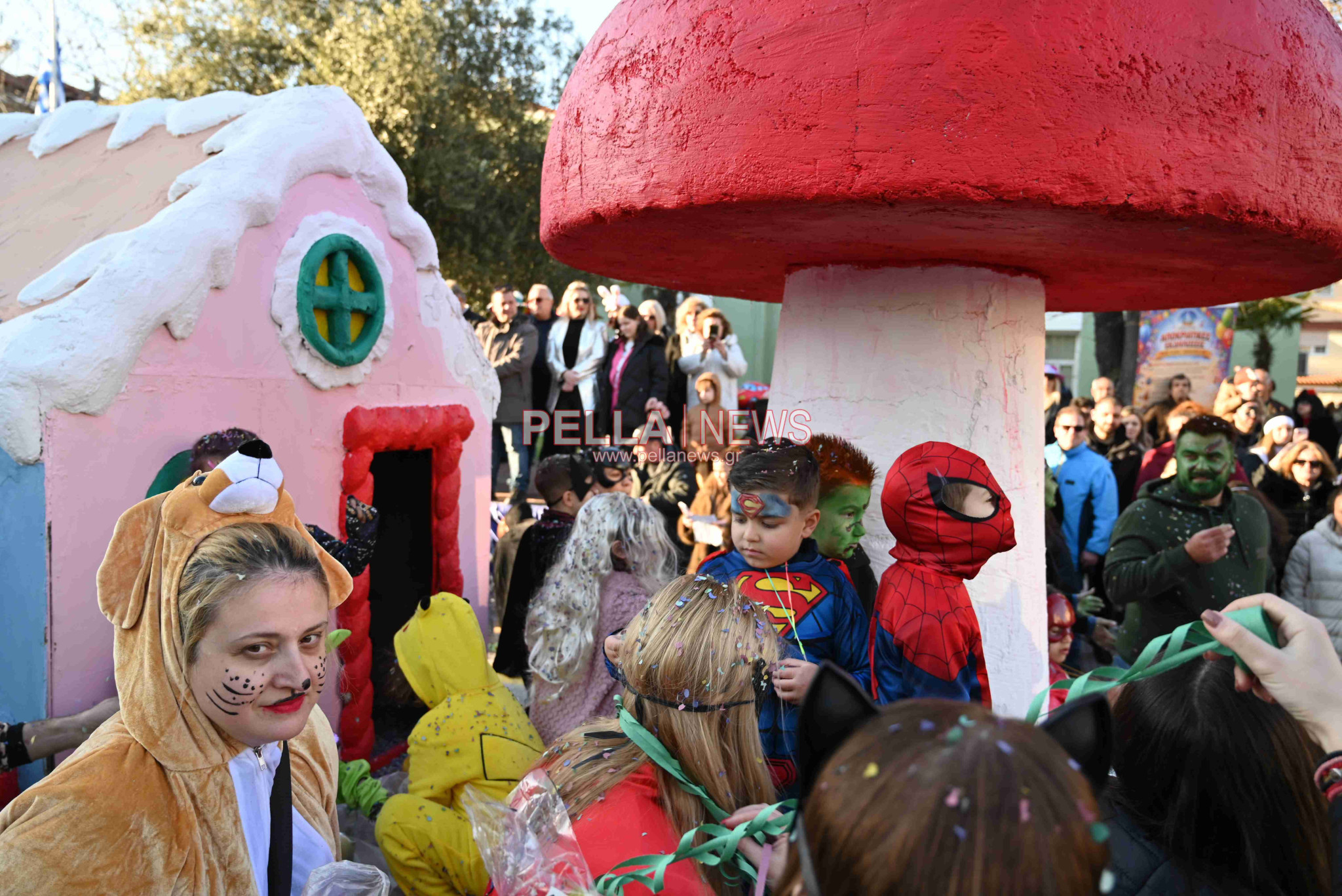 Καρναβάλι Σκύδρας: Τα καλά, τα άσχημα και η αποχή!
