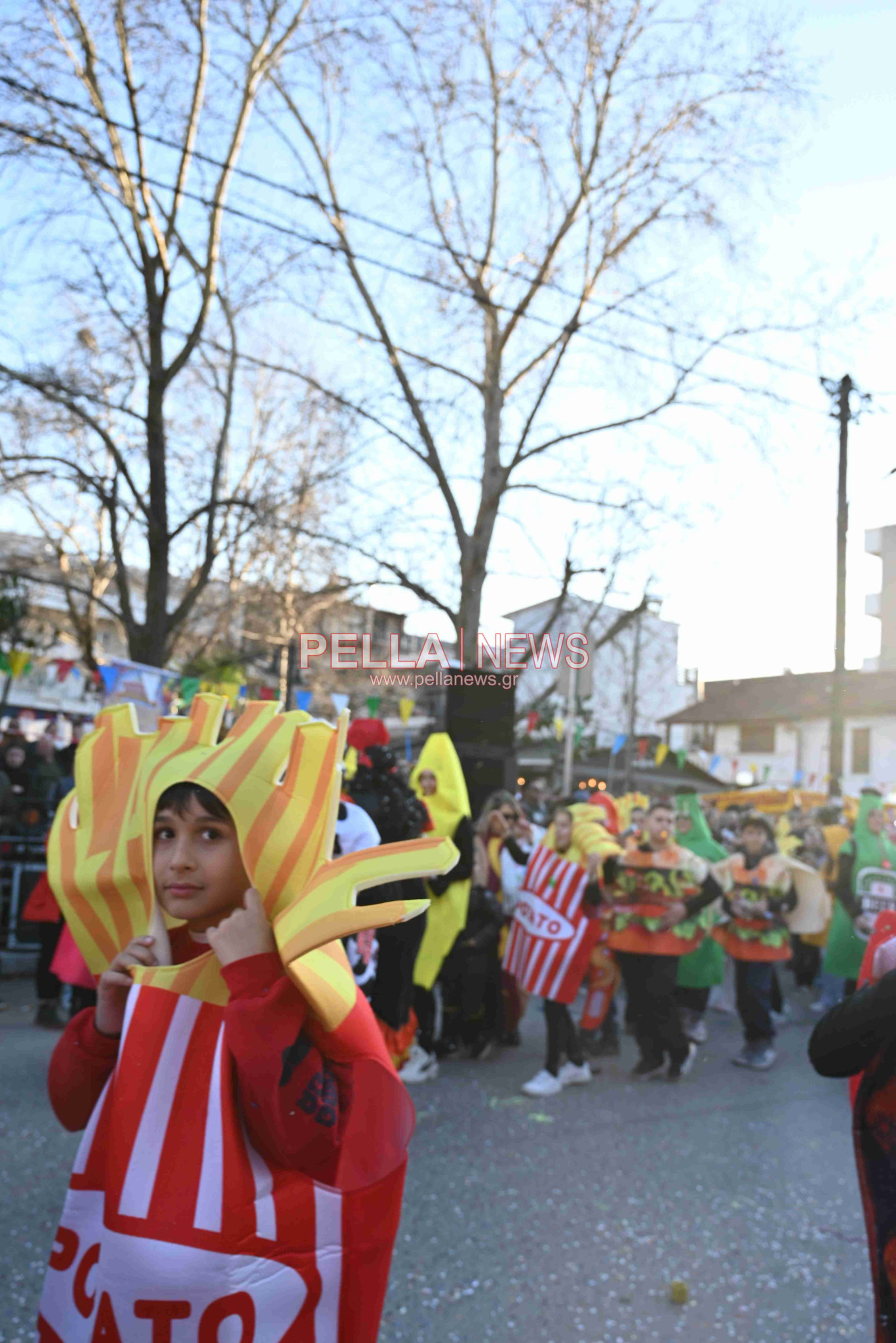Καρναβάλι Σκύδρας: Τα καλά, τα άσχημα και η αποχή!