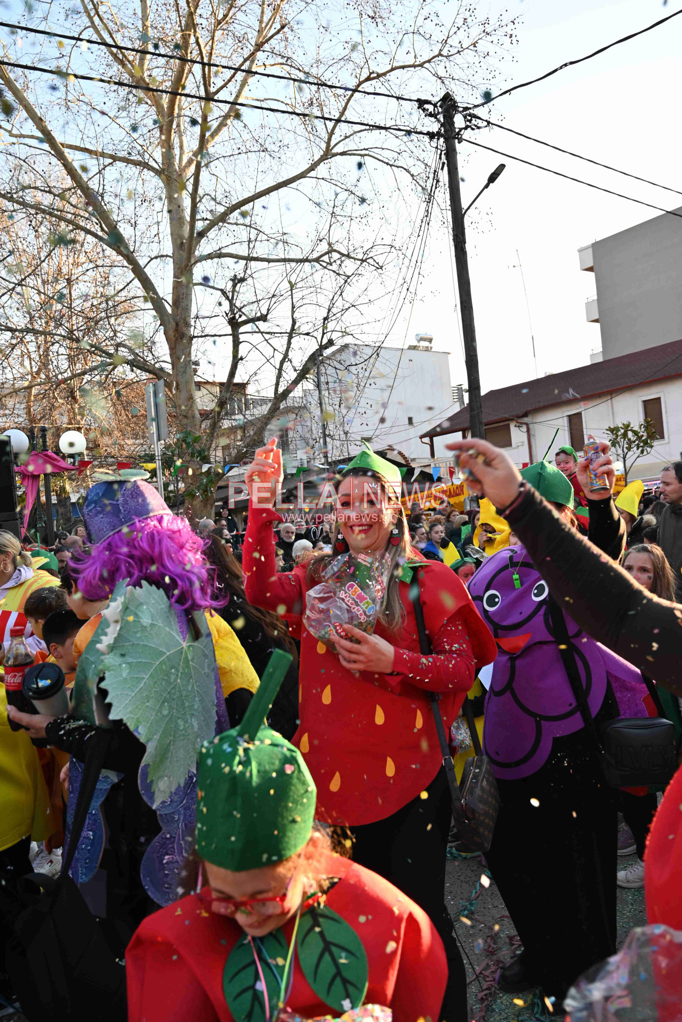 Καρναβάλι Σκύδρας: Τα καλά, τα άσχημα και η αποχή!