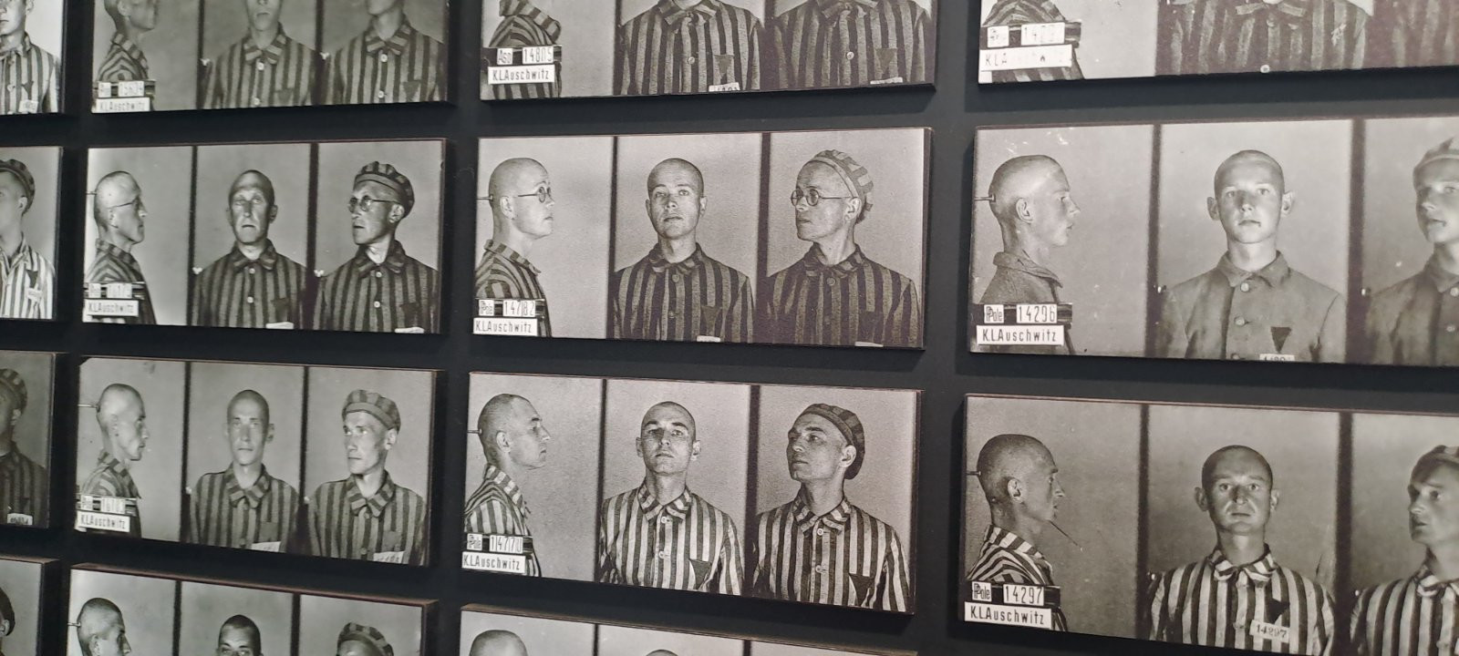 Συμμετοχή του 1ου Λυκείου Έδεσσας "Νικόλαος Οικονομίδης" στο 1ο Πανευρωπαικό Μαθητικό Συνέδριο στην Κρακοβία