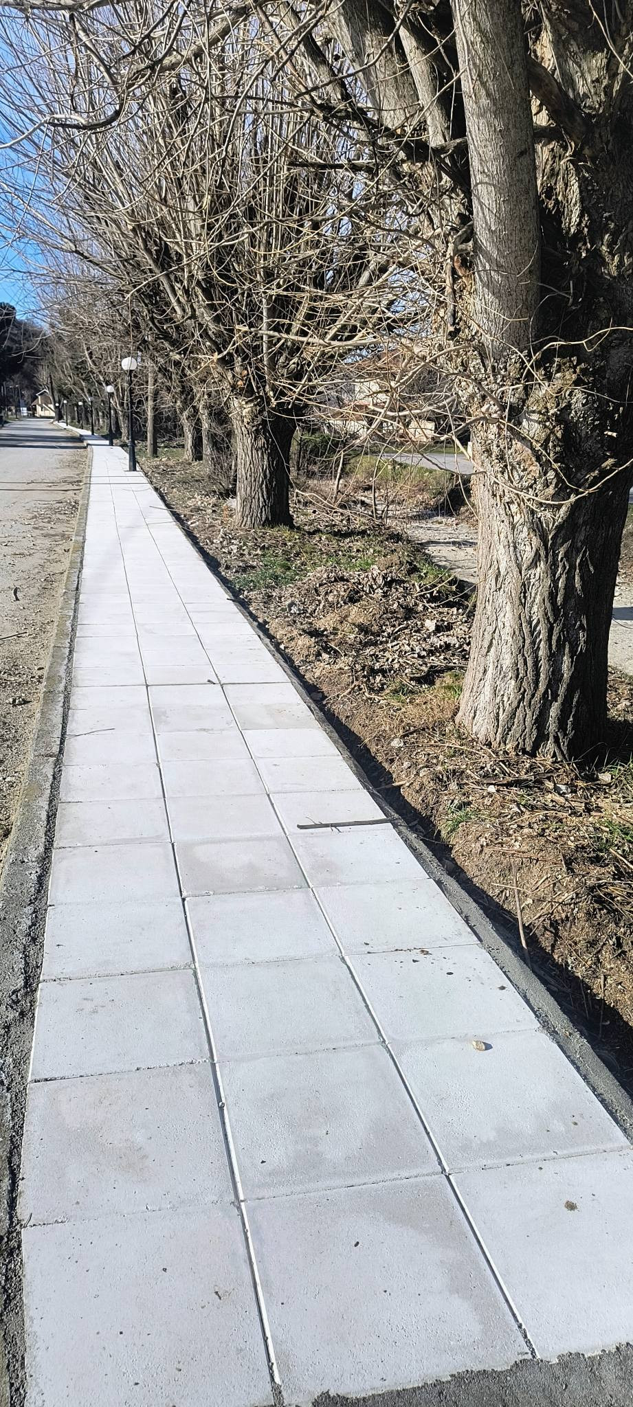 Βεγορίτιδα: Αναβαθμίσεις ουσίας, τι αναφέρει η Μένη Μπόγια