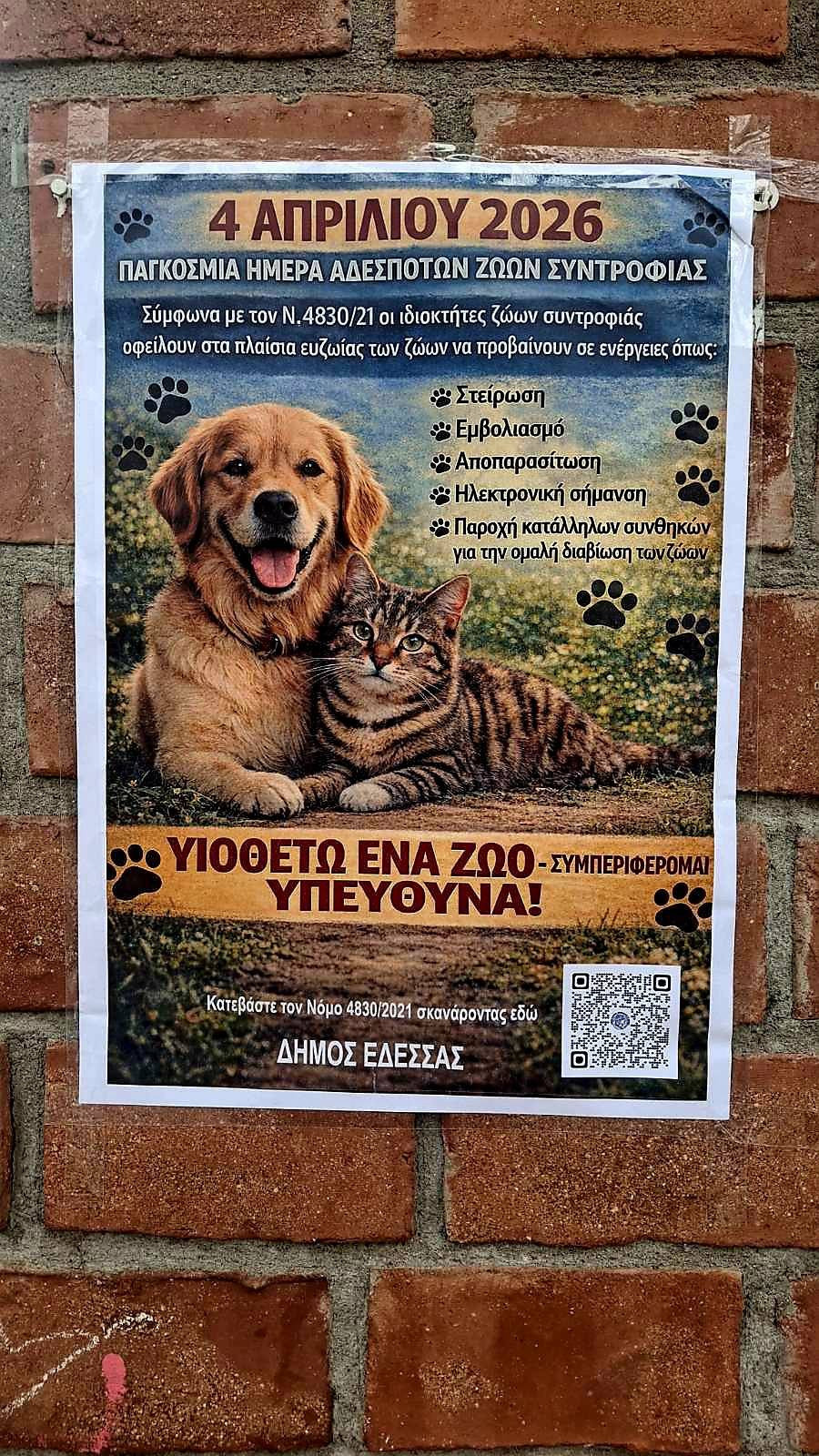 4 Απριλίου – Ημέρα Αδέσποτων Ζώων Συντροφιάς: Δράσεις ενημέρωσης και ευαισθητοποίησης από τον Δήμο Έδεσσας