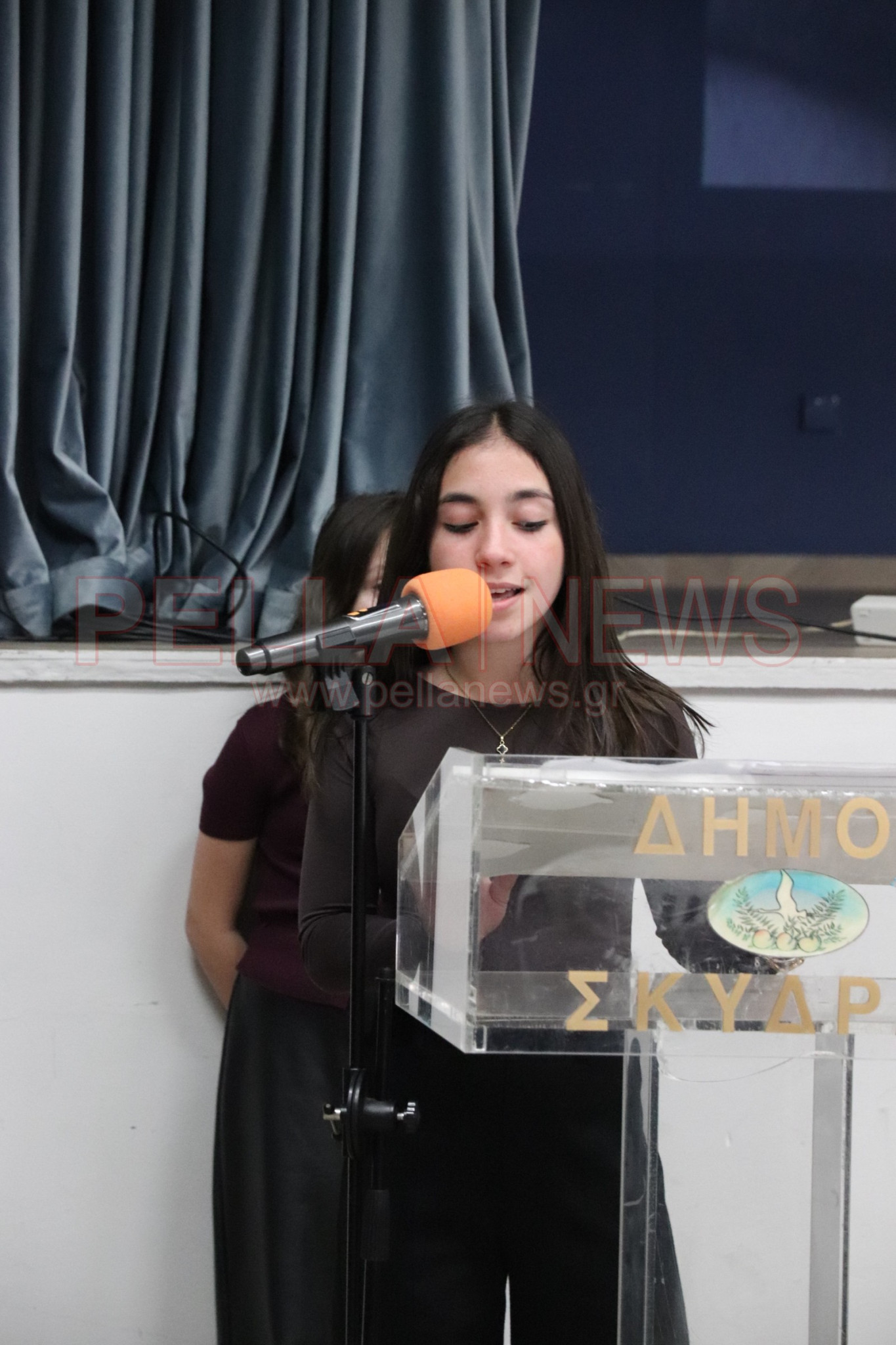 «Ρίμες και όνειρα» στη Σκύδρα: Μαθητές έδωσαν φωνή στην ποίηση μέσα από μια ξεχωριστή εκδήλωση (βιντεο)