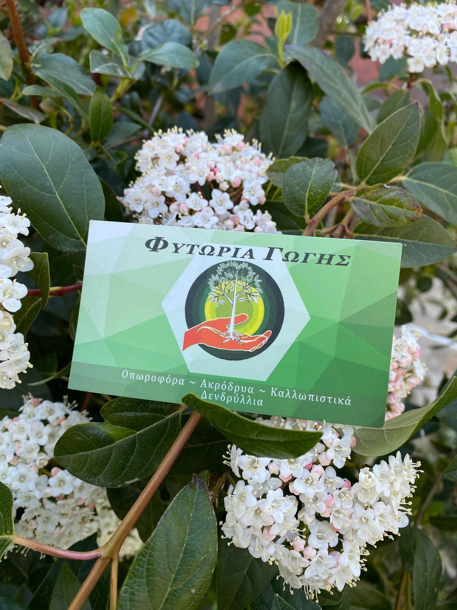 Ευχαριστήριο προέδρου Καλλίπολης Βασίλειου Σιωνη