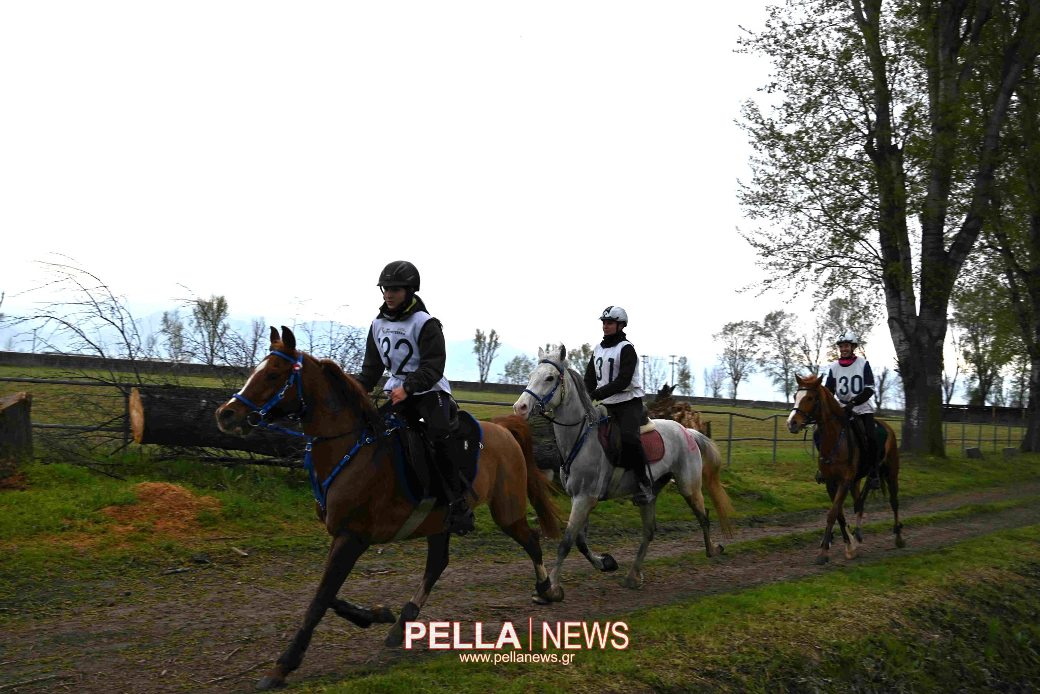 Ιππική αντοχή στις εγκαταστάσεις του ELIA STUD FARM στον Ορχομενό