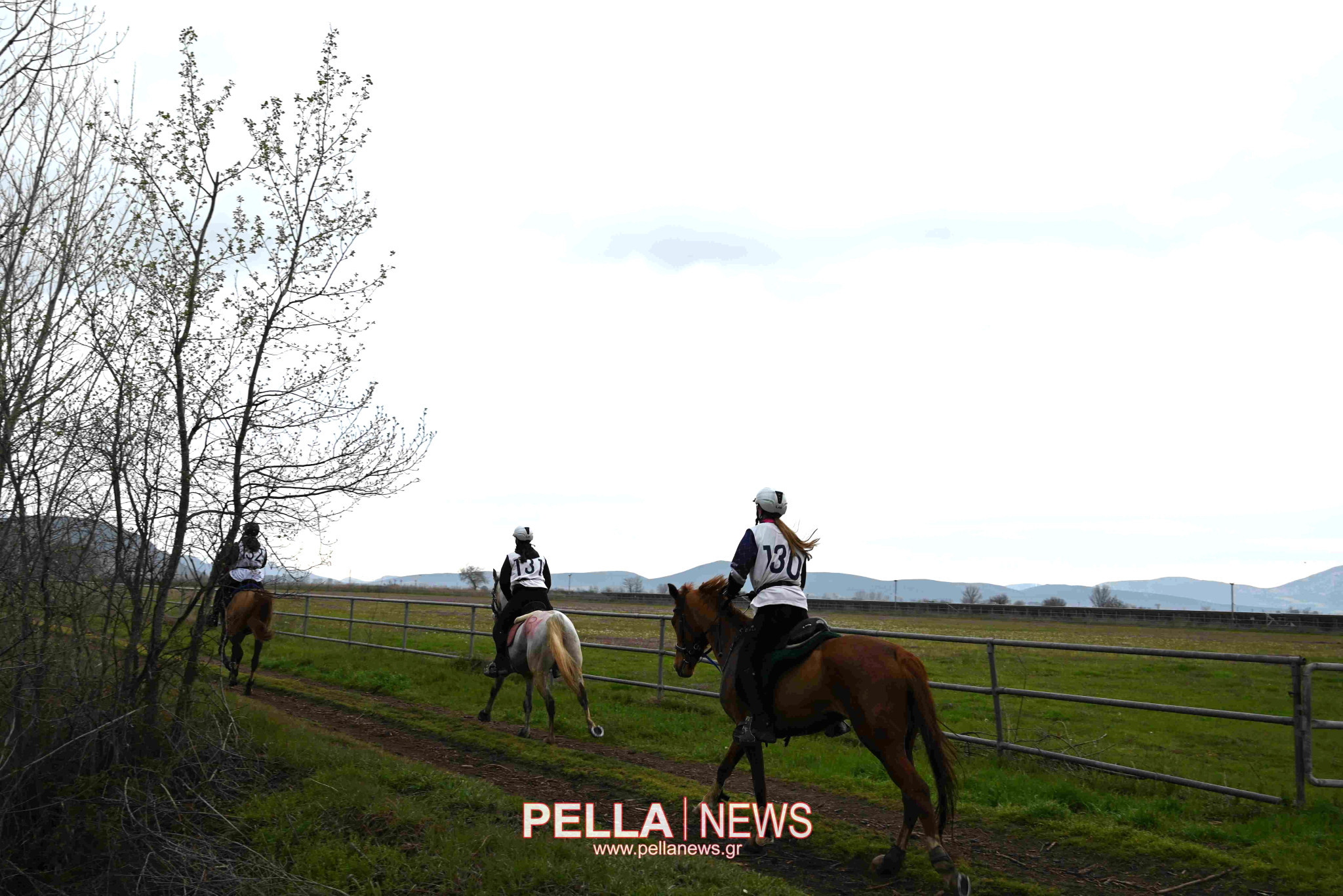 Ιππική αντοχή στις εγκαταστάσεις του ELIA STUD FARM στον Ορχομενό