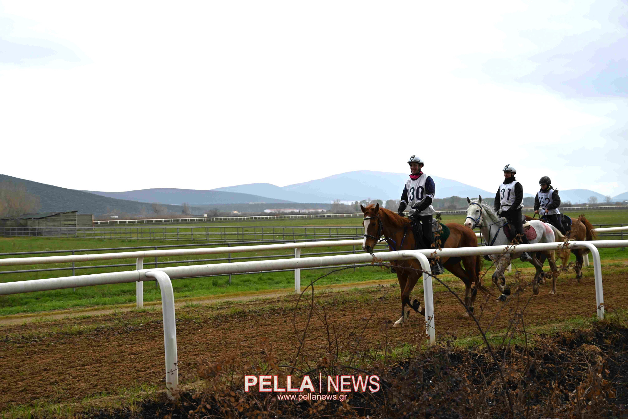 Ιππική αντοχή στις εγκαταστάσεις του ELIA STUD FARM στον Ορχομενό
