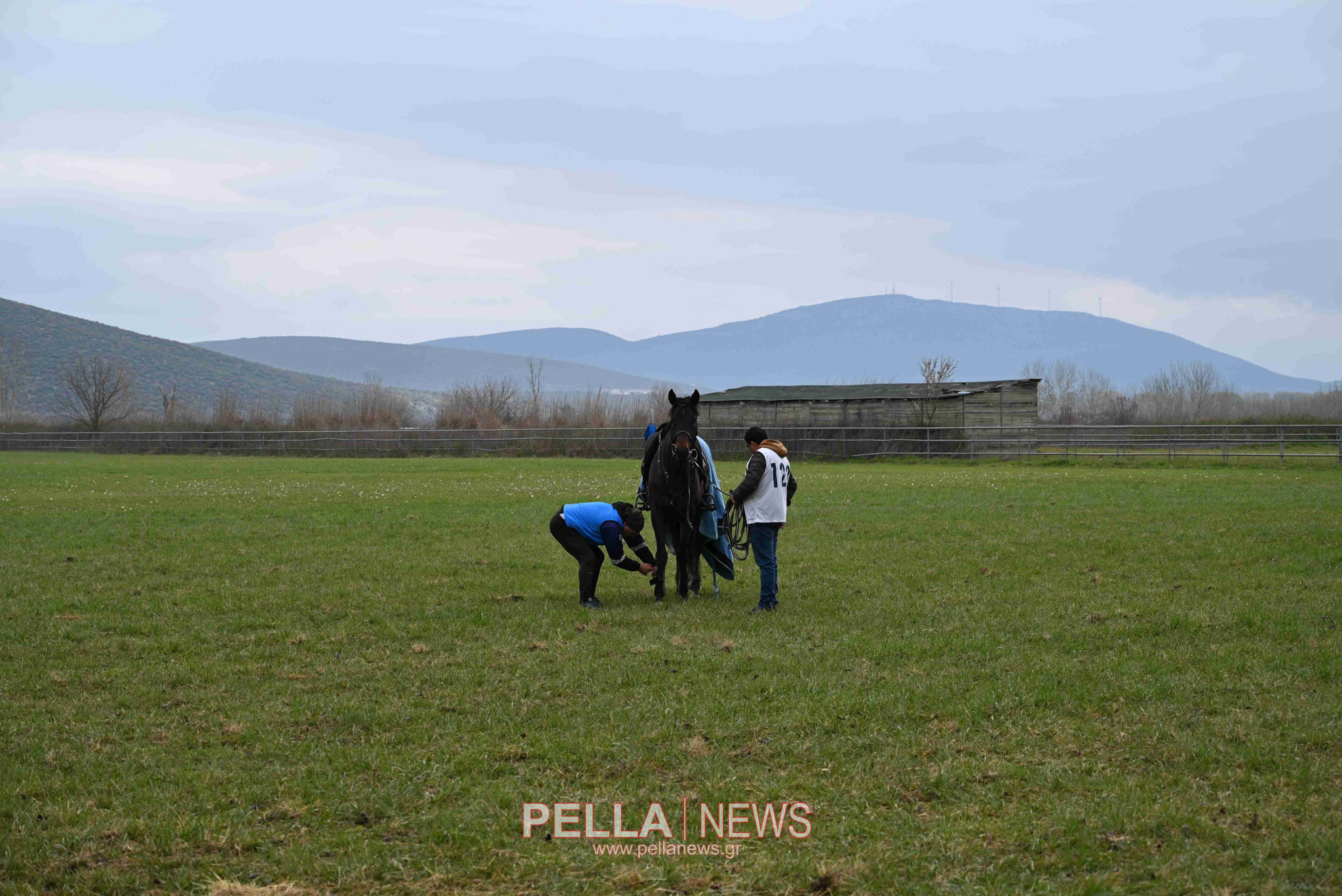 Ιππική αντοχή στις εγκαταστάσεις του ELIA STUD FARM στον Ορχομενό