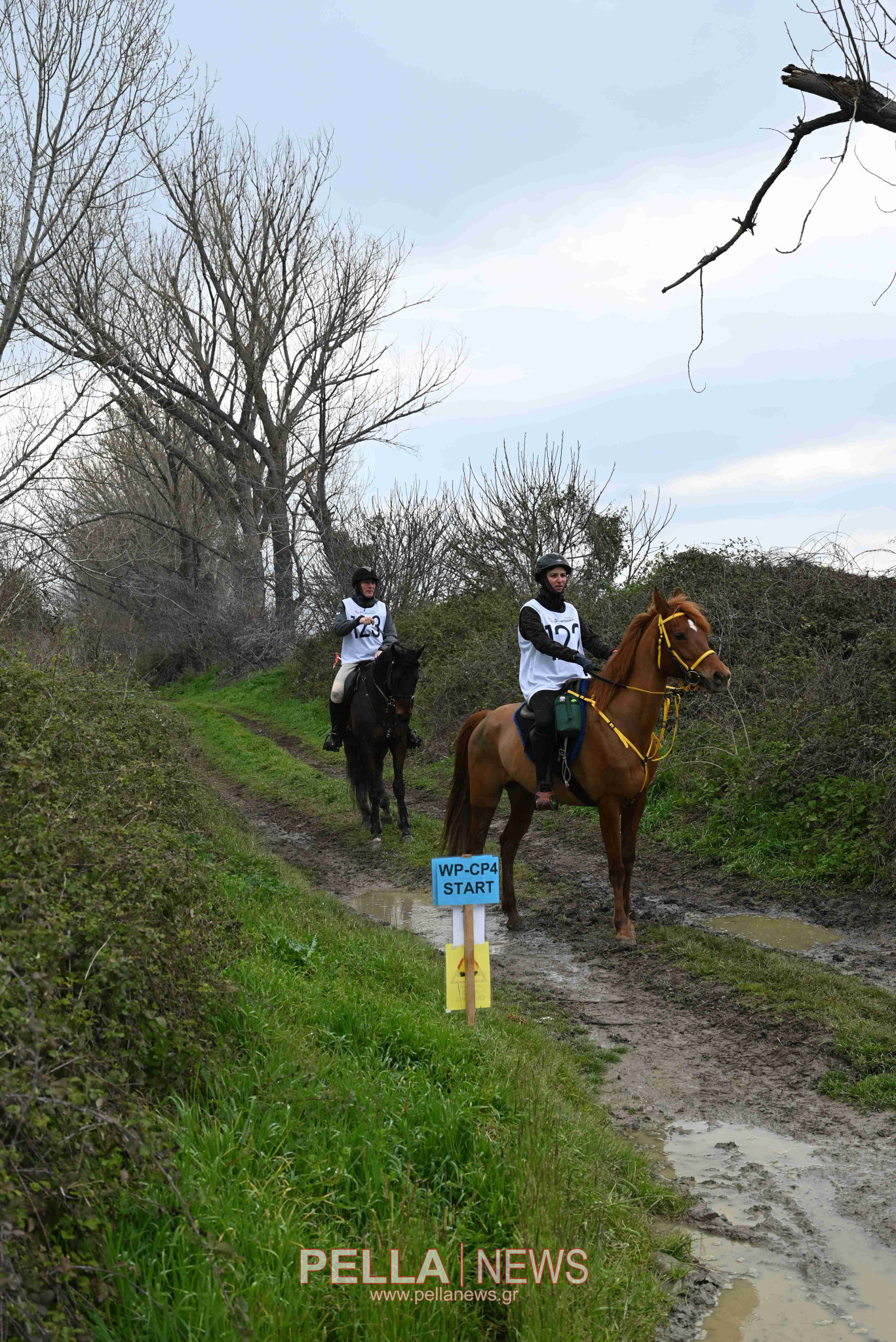 Ιππική αντοχή στις εγκαταστάσεις του ELIA STUD FARM στον Ορχομενό