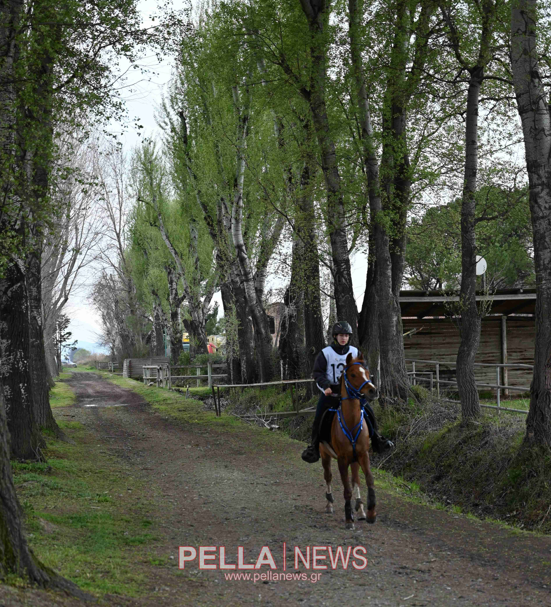 Ιππική αντοχή στις εγκαταστάσεις του ELIA STUD FARM στον Ορχομενό