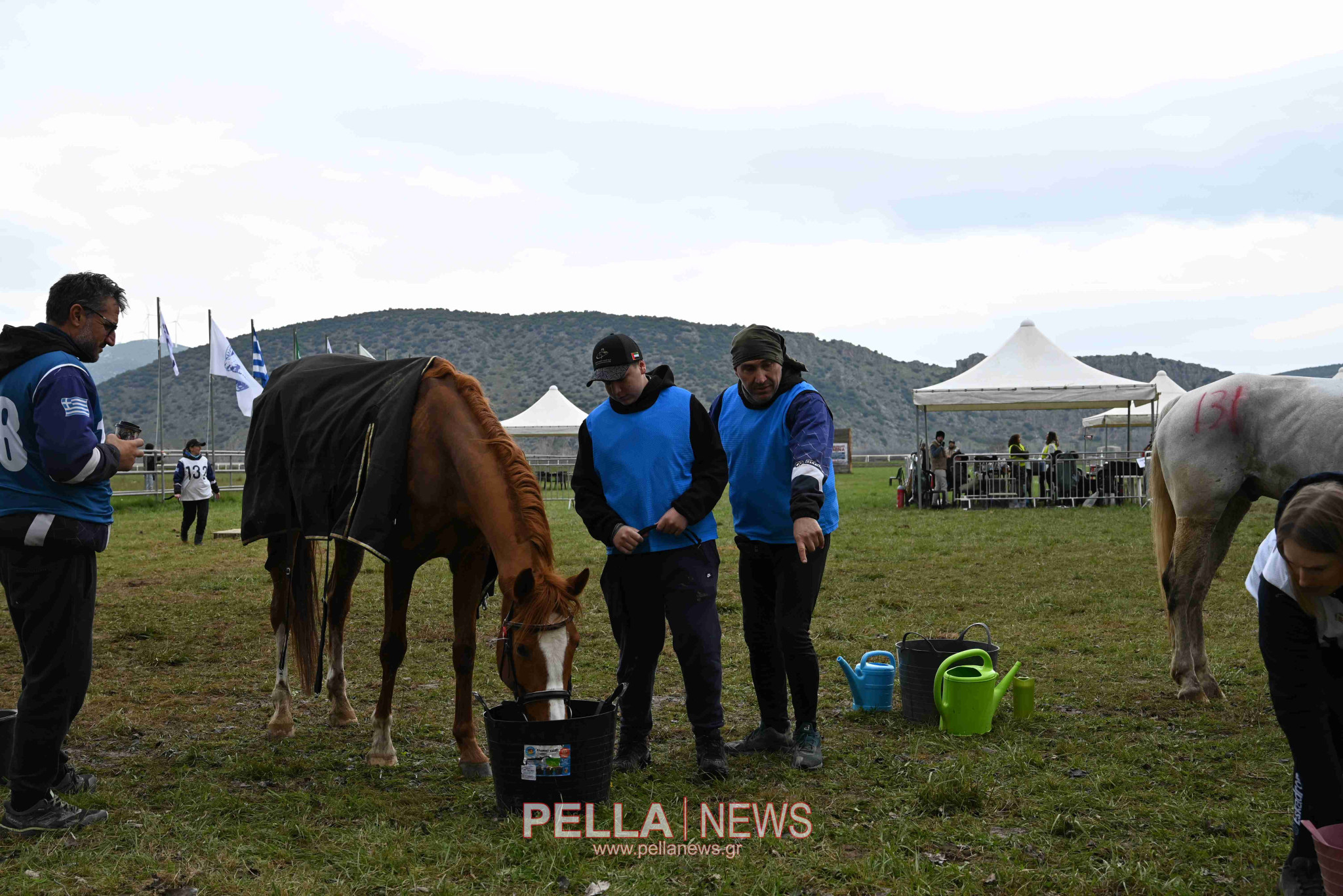 Ιππική αντοχή στις εγκαταστάσεις του ELIA STUD FARM στον Ορχομενό