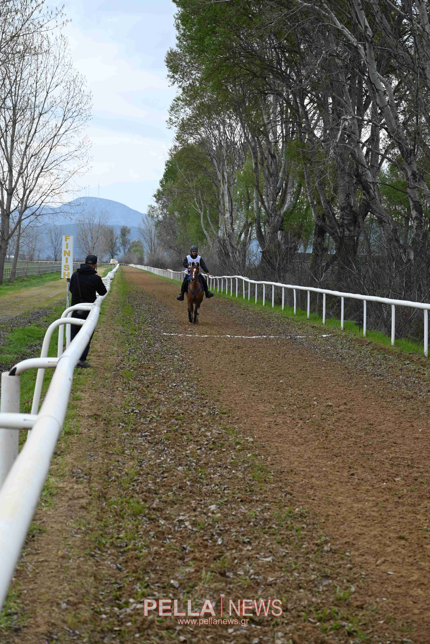 Ιππική αντοχή στις εγκαταστάσεις του ELIA STUD FARM στον Ορχομενό
