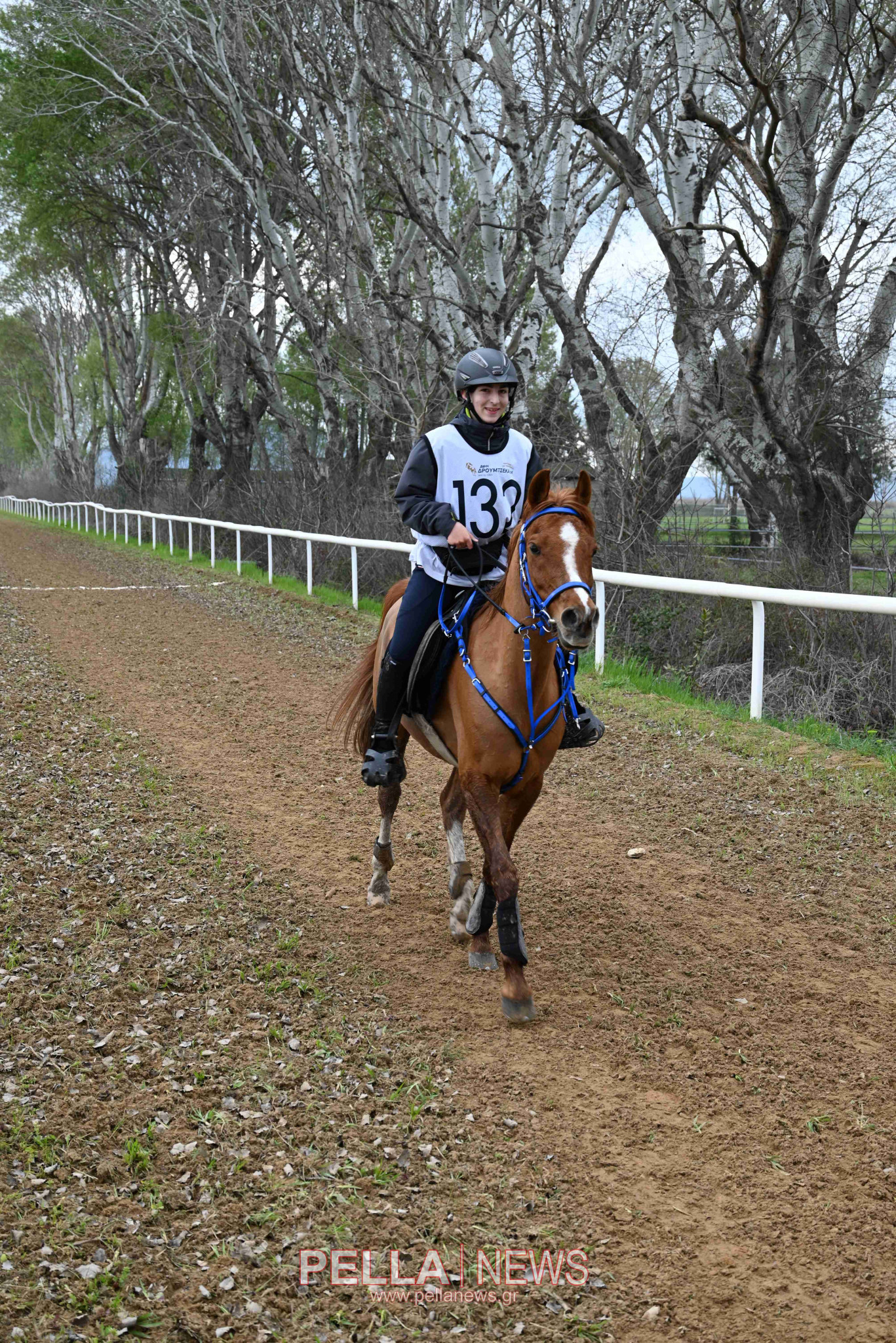 Ιππική αντοχή στις εγκαταστάσεις του ELIA STUD FARM στον Ορχομενό