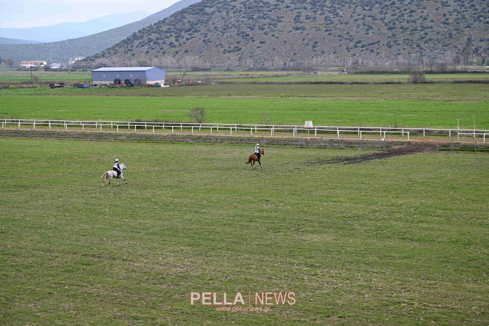 Ιππική αντοχή στις εγκαταστάσεις του ELIA STUD FARM στον Ορχομενό