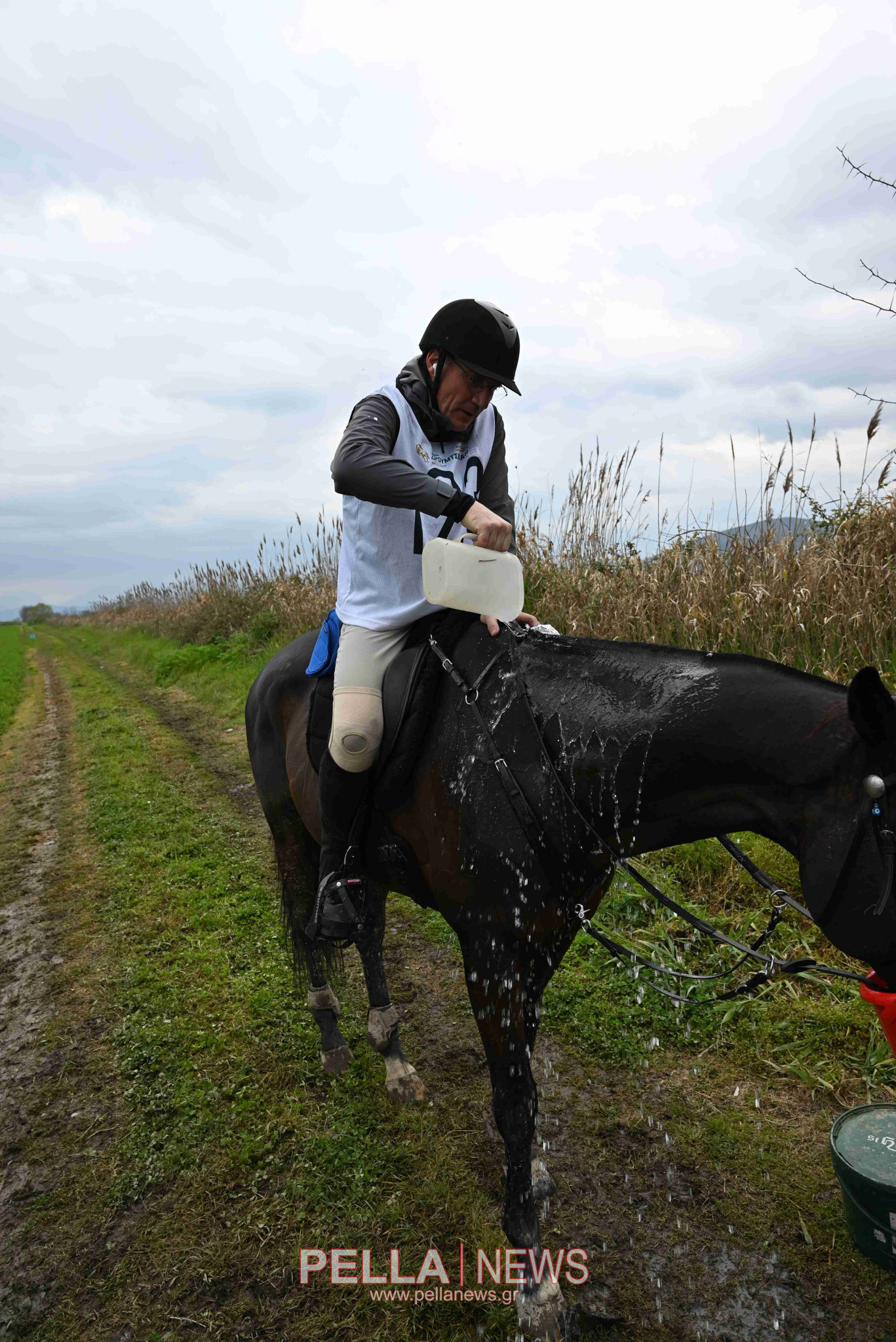 Ιππική αντοχή στις εγκαταστάσεις του ELIA STUD FARM στον Ορχομενό