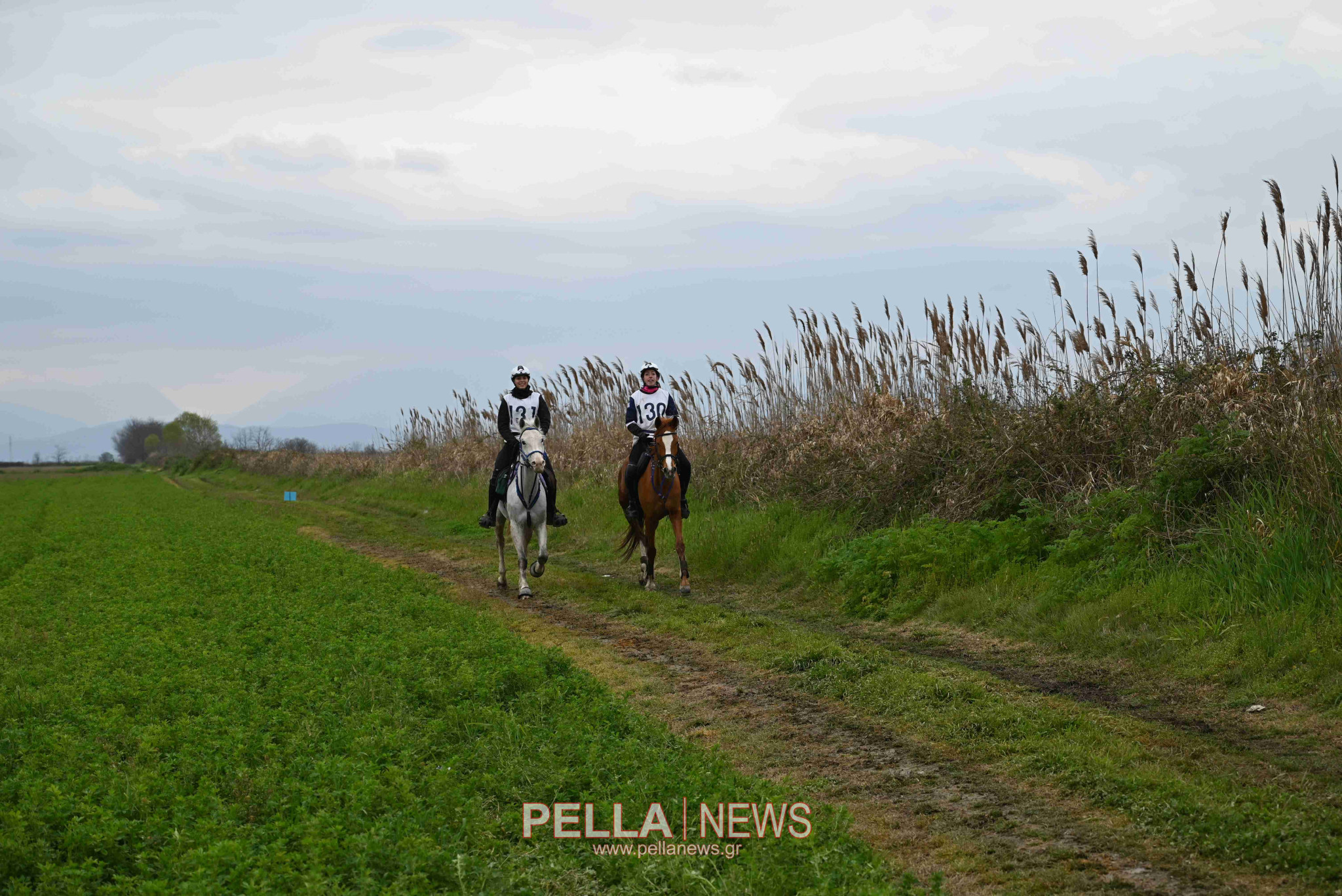 Ιππική αντοχή στις εγκαταστάσεις του ELIA STUD FARM στον Ορχομενό