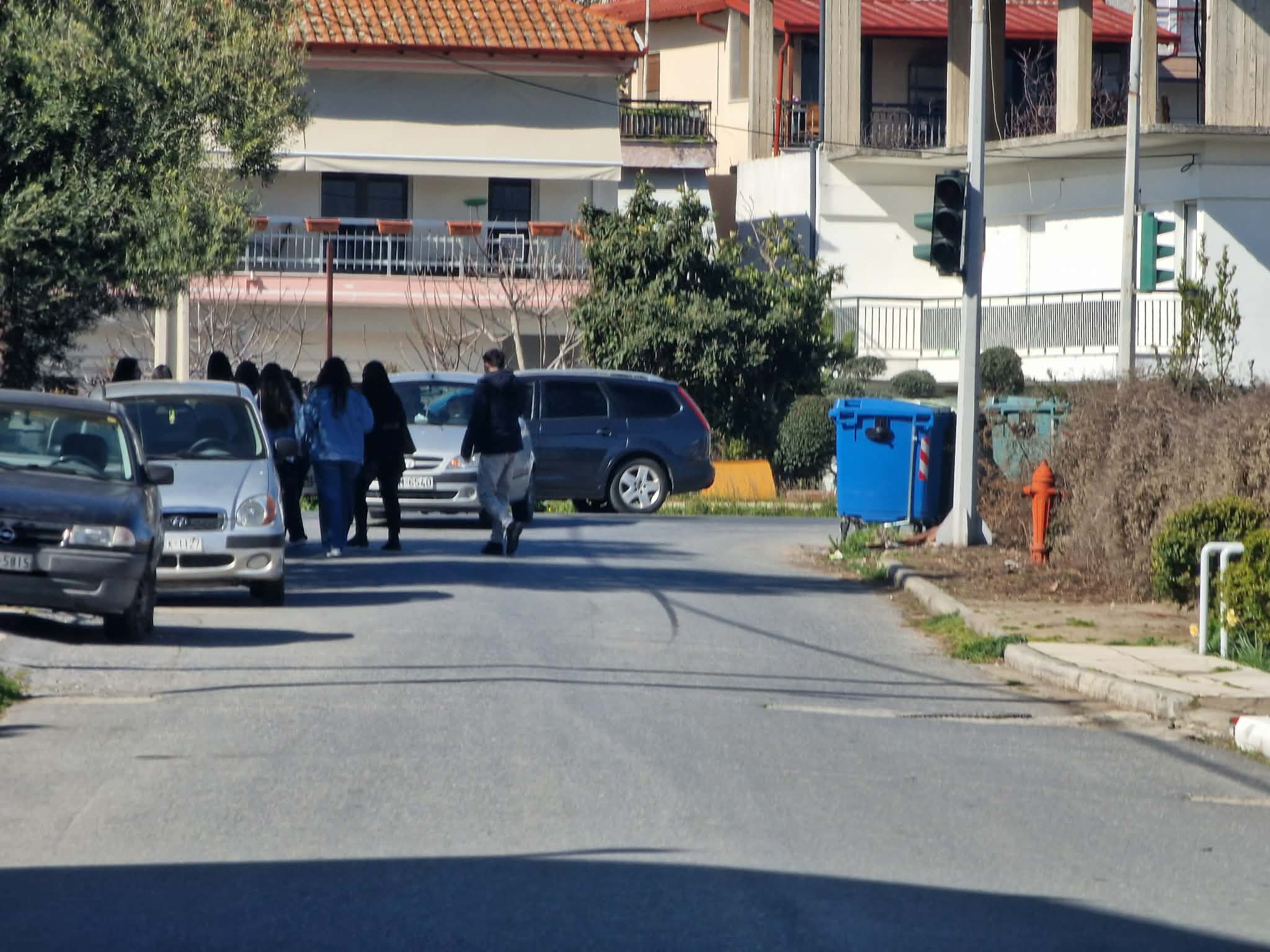 Προστατευτικές "Μπάρες" στο Μαυροβούνι και "Κάγκελα" στην περιφερειακή της Σκύδρας