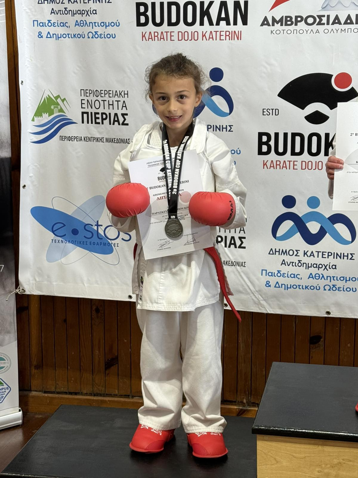 Επιτυχία του Αθλητικού Συλλόγου Καράτε "Η ΑΛΜΩΠΙΑ" στην Κατερίνη