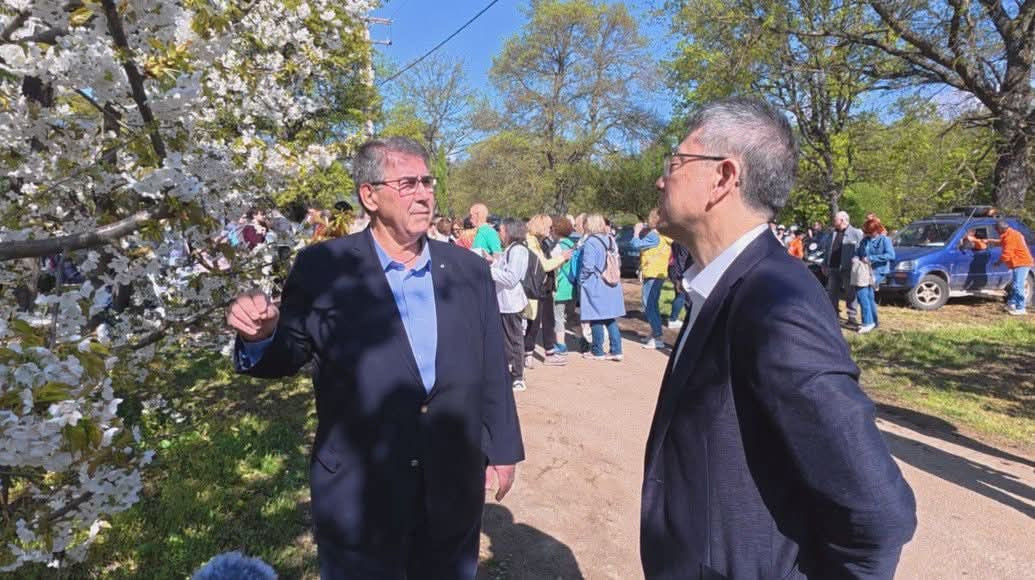 Ανθισμένες κερασιές: Η Πέλλα γιορτάζει την άνοιξη και αναδεικνύει την τοπική παραγωγή
