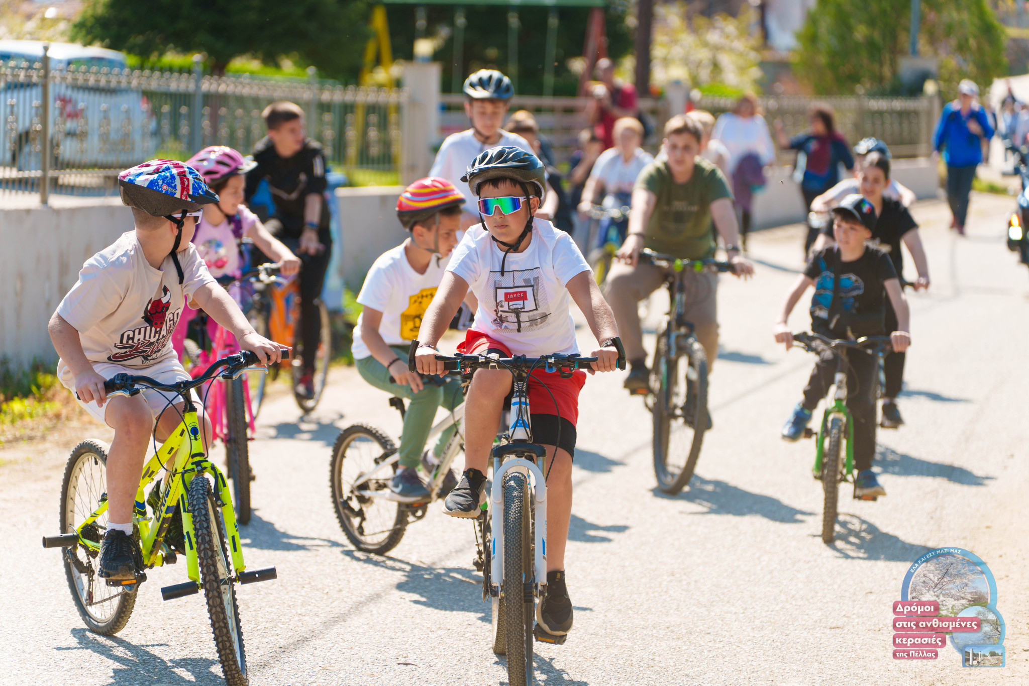 Με μεγάλη επιτυχία η πραγματοποίηση και της 2ης εκδήλωσης-γιορτής των ανθισμένων κερασιών στην Πέλλα
