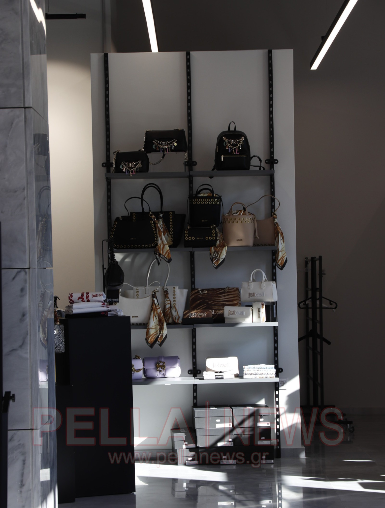 Το νέο σημείο αναφοράς για τη γυναικεία μόδα στη Σκύδρα είναι γεγονός (φωτογραφίες & βίντεο)