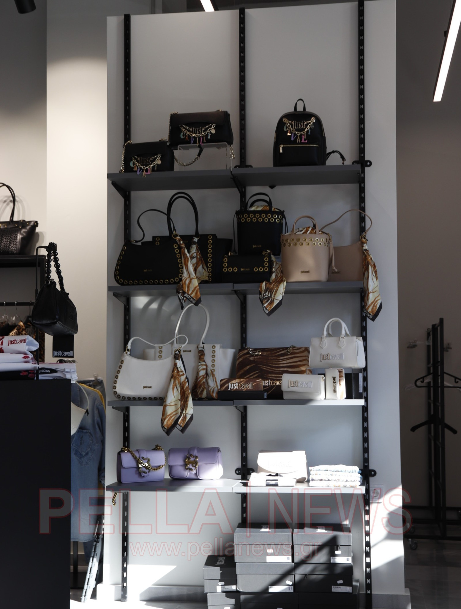 Το νέο σημείο αναφοράς για τη γυναικεία μόδα στη Σκύδρα είναι γεγονός (φωτογραφίες & βίντεο)