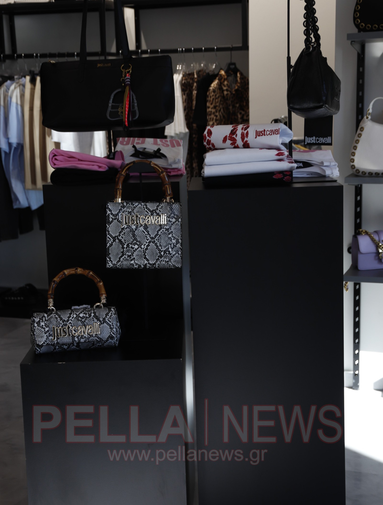 Το νέο σημείο αναφοράς για τη γυναικεία μόδα στη Σκύδρα είναι γεγονός (φωτογραφίες & βίντεο)