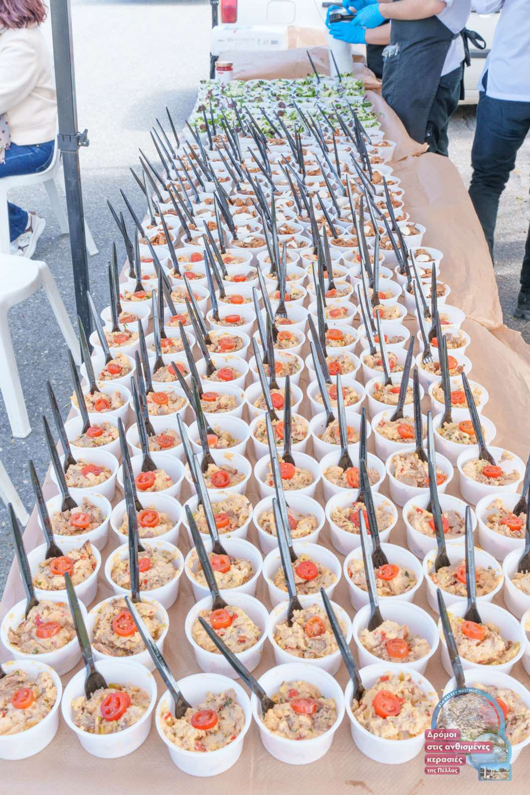 Δάνης Τζαμτζής: «Η ανθισμένη Πέλλα ετήσιος θεσμός, προσκαλώντας επισκέπτες από όλη την Ελλάδα και τον κόσμο να απολαύσουν την ανθισμένη φύση, σε συνδυασμό με τη μακρά ιστορία και παραδόσεις της Πέλλας»