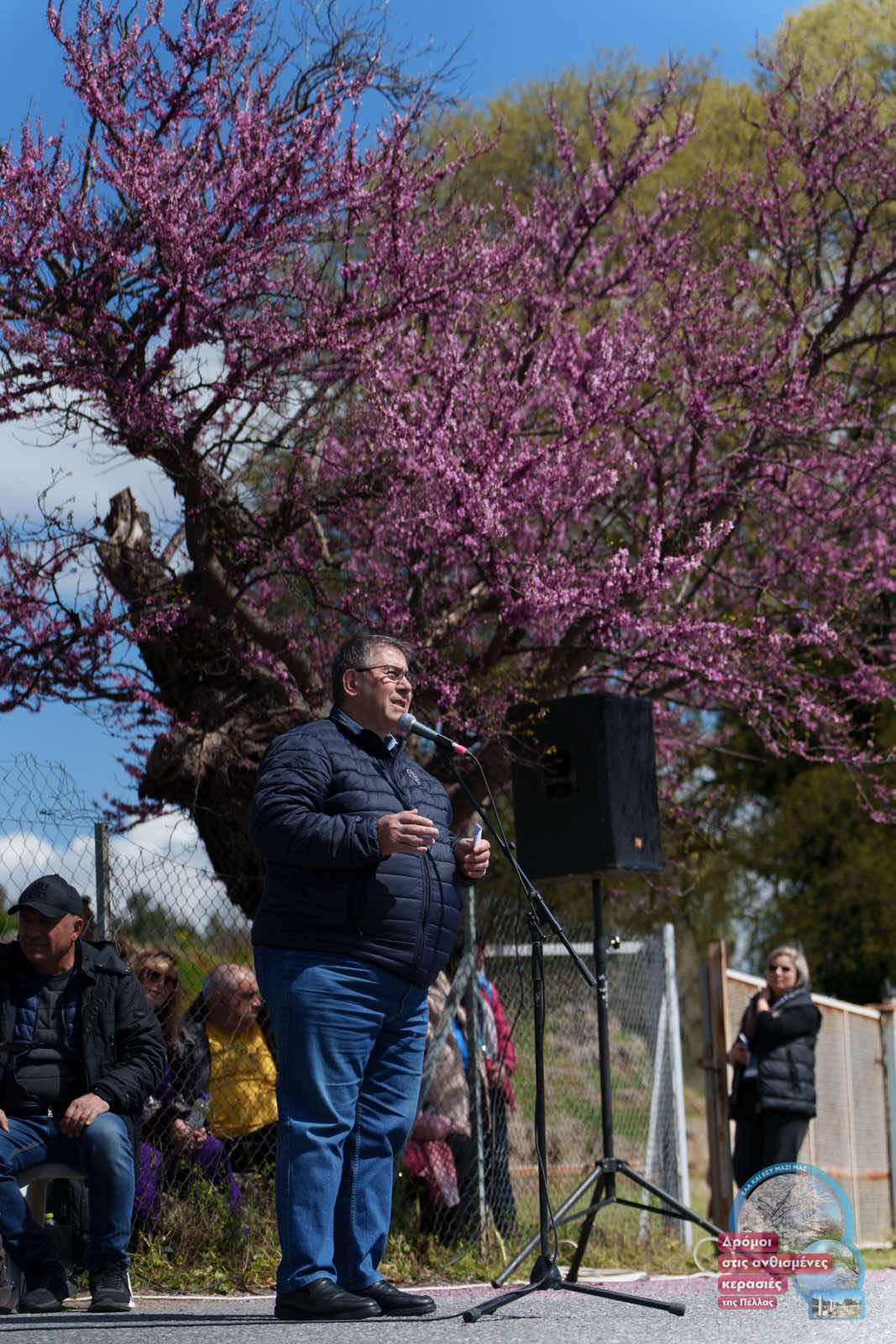 Δάνης Τζαμτζής: «Η ανθισμένη Πέλλα ετήσιος θεσμός, προσκαλώντας επισκέπτες από όλη την Ελλάδα και τον κόσμο να απολαύσουν την ανθισμένη φύση, σε συνδυασμό με τη μακρά ιστορία και παραδόσεις της Πέλλας»