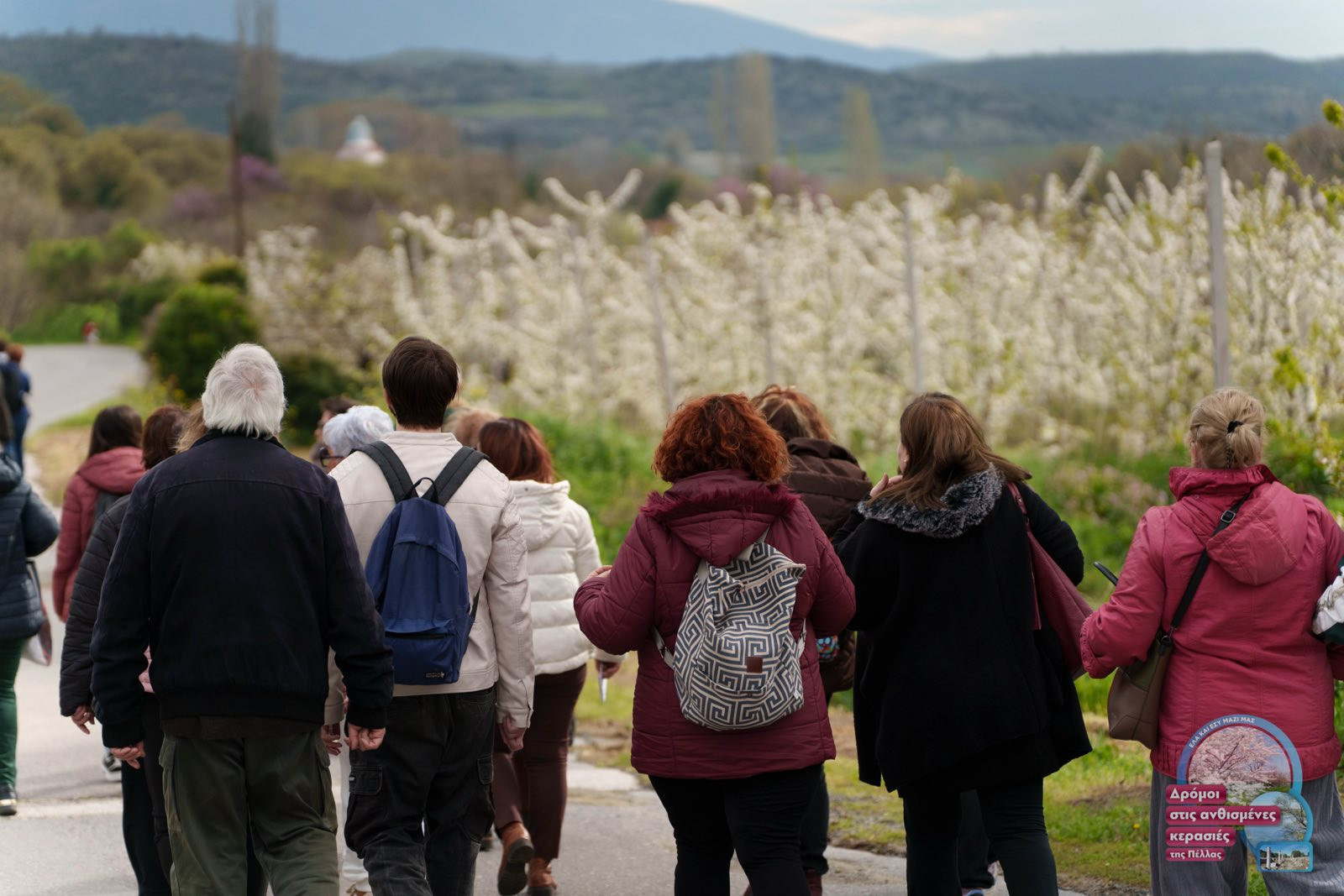 Δάνης Τζαμτζής: «Η ανθισμένη Πέλλα ετήσιος θεσμός, προσκαλώντας επισκέπτες από όλη την Ελλάδα και τον κόσμο να απολαύσουν την ανθισμένη φύση, σε συνδυασμό με τη μακρά ιστορία και παραδόσεις της Πέλλας»