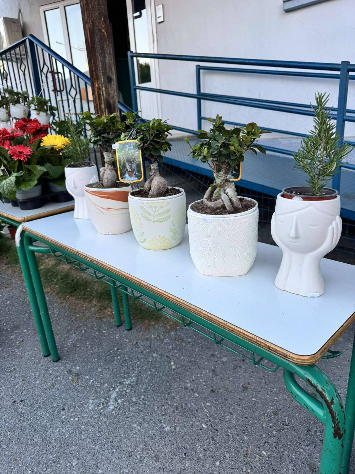 Γαλατάδες: Τα "ευχαριστούμε" για την επιτυχία της 2ης Ανθοέκθεσης