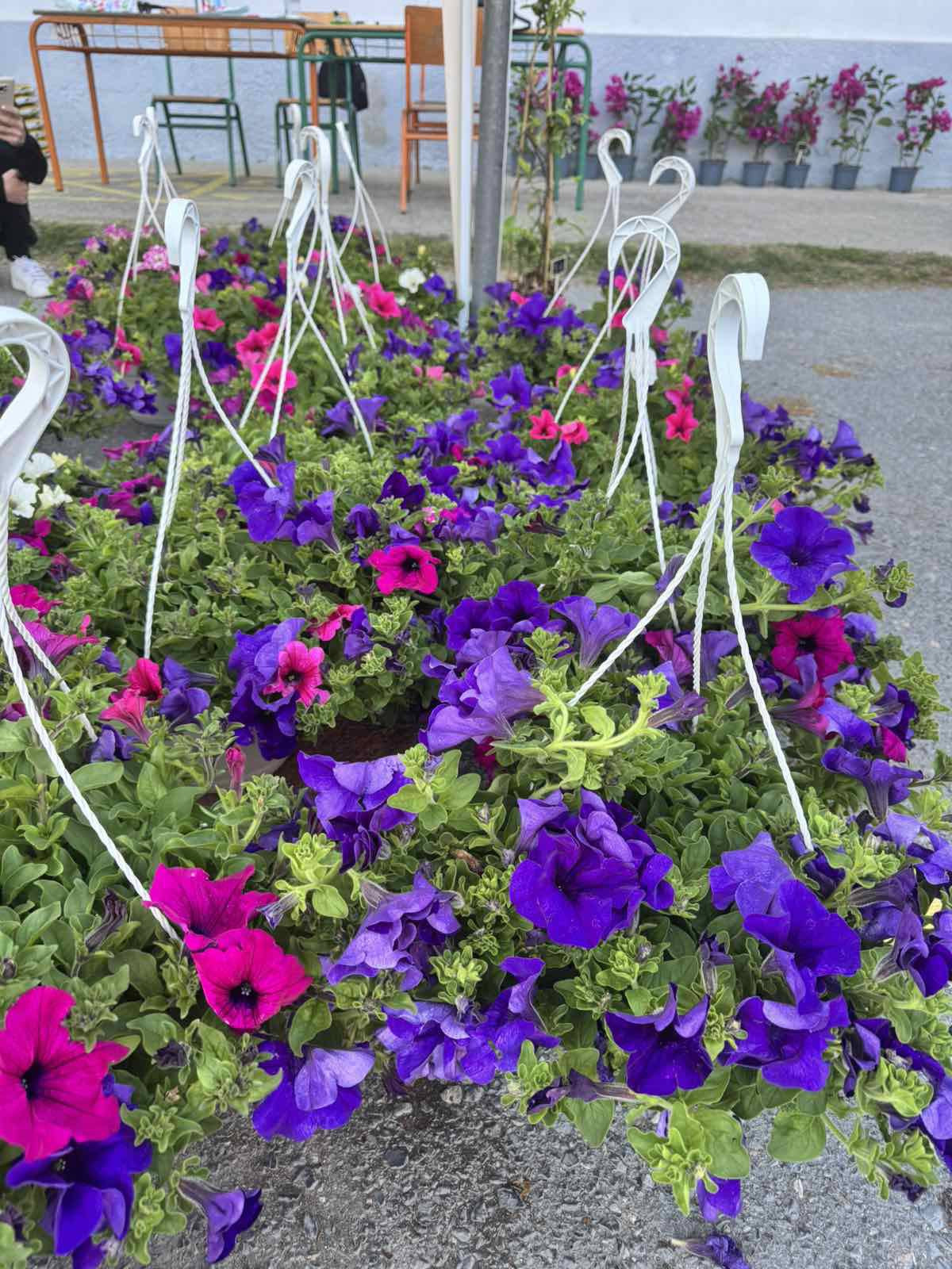 Γαλατάδες: Τα "ευχαριστούμε" για την επιτυχία της 2ης Ανθοέκθεσης