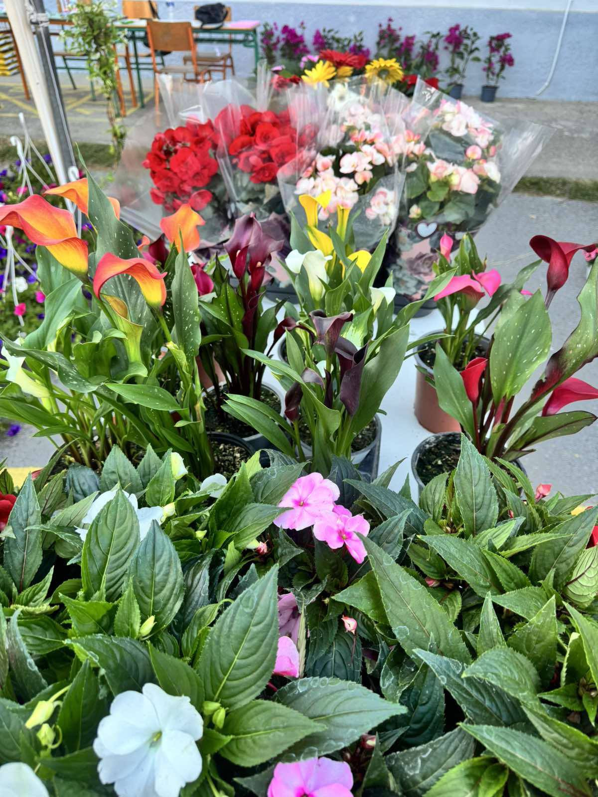 Γαλατάδες: Τα "ευχαριστούμε" για την επιτυχία της 2ης Ανθοέκθεσης