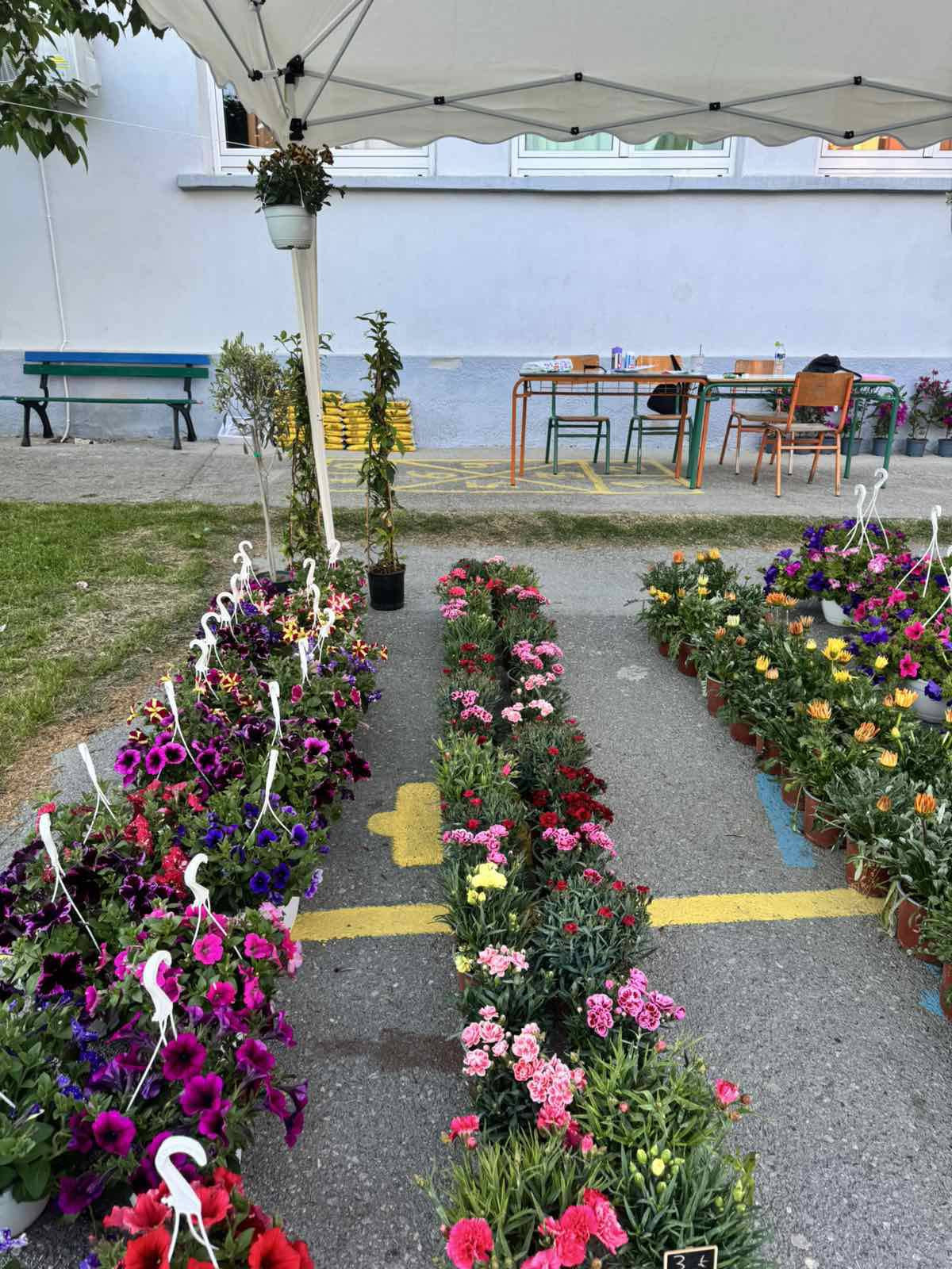 Γαλατάδες: Τα "ευχαριστούμε" για την επιτυχία της 2ης Ανθοέκθεσης