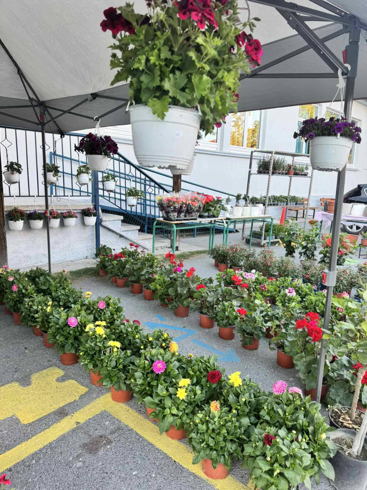 Γαλατάδες: Τα "ευχαριστούμε" για την επιτυχία της 2ης Ανθοέκθεσης