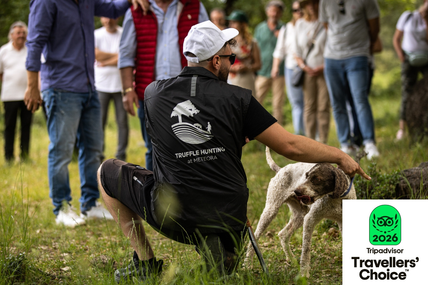 Διεθνής Αναγνώριση για το Μουσείο Φυσικής Ιστορίας Μετεώρων και Μουσείο Μανιταριών 5ο στην Ευρώπη