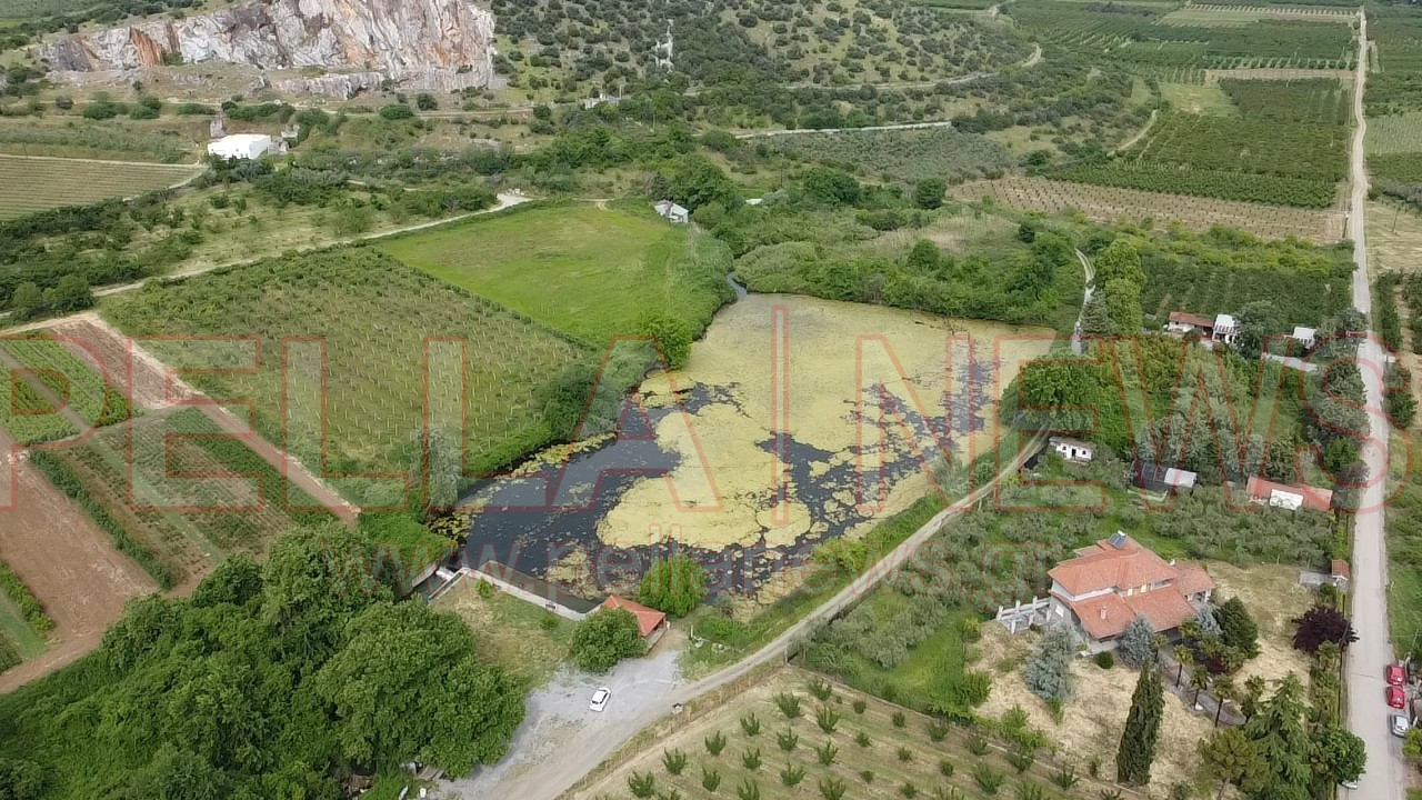 Εκπαιδευτική εξόρμηση γνώσης και φύσης στα Σεβαστιανά Σκύδρας