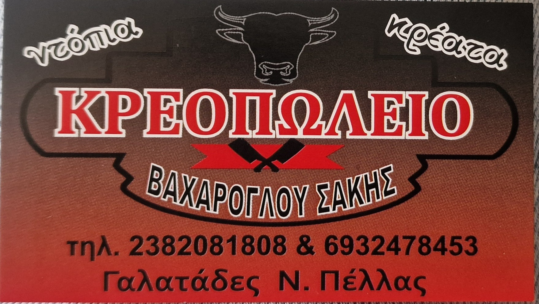 1ο Δημοτικό Σκύδρας: Έκθεση Φωτογραφίας και Παρουσίαση Ντοκιμαντέρ (βιντεο)